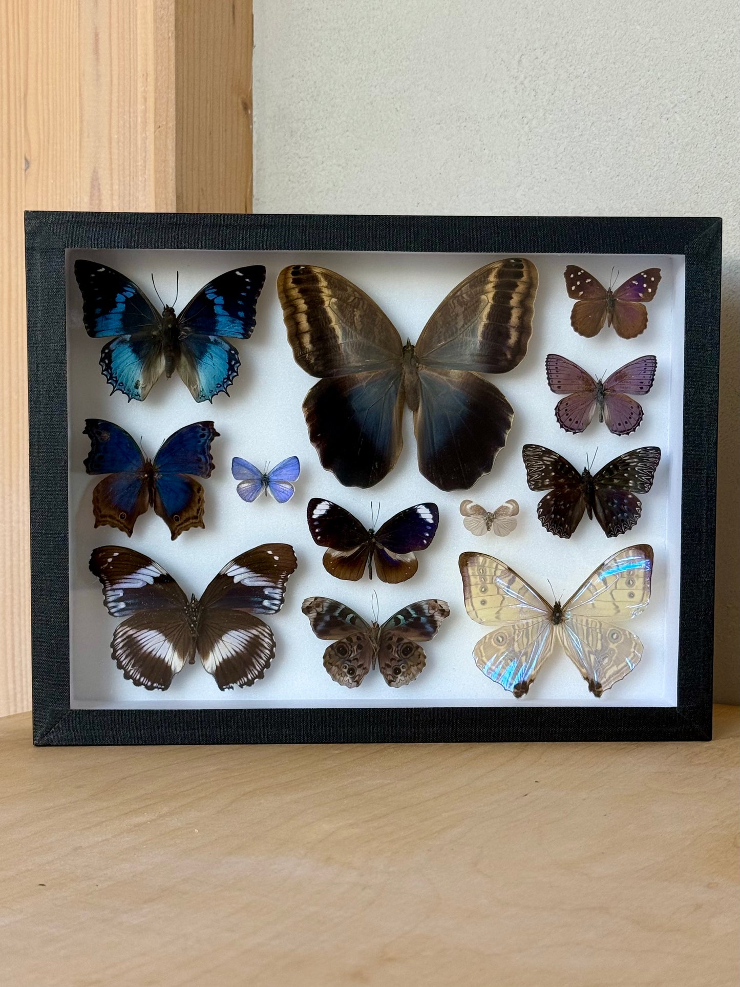Indigo Reverie Collection Frame