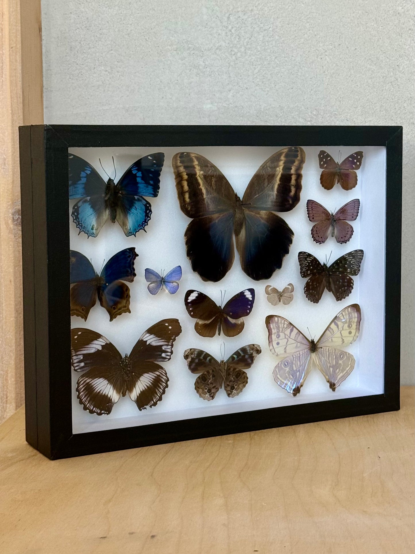 Indigo Reverie Collection Frame