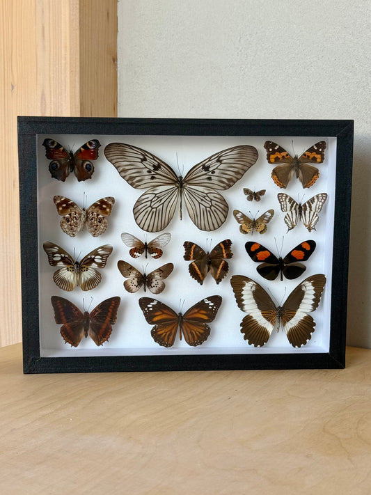Earth & Ember Collection Frame