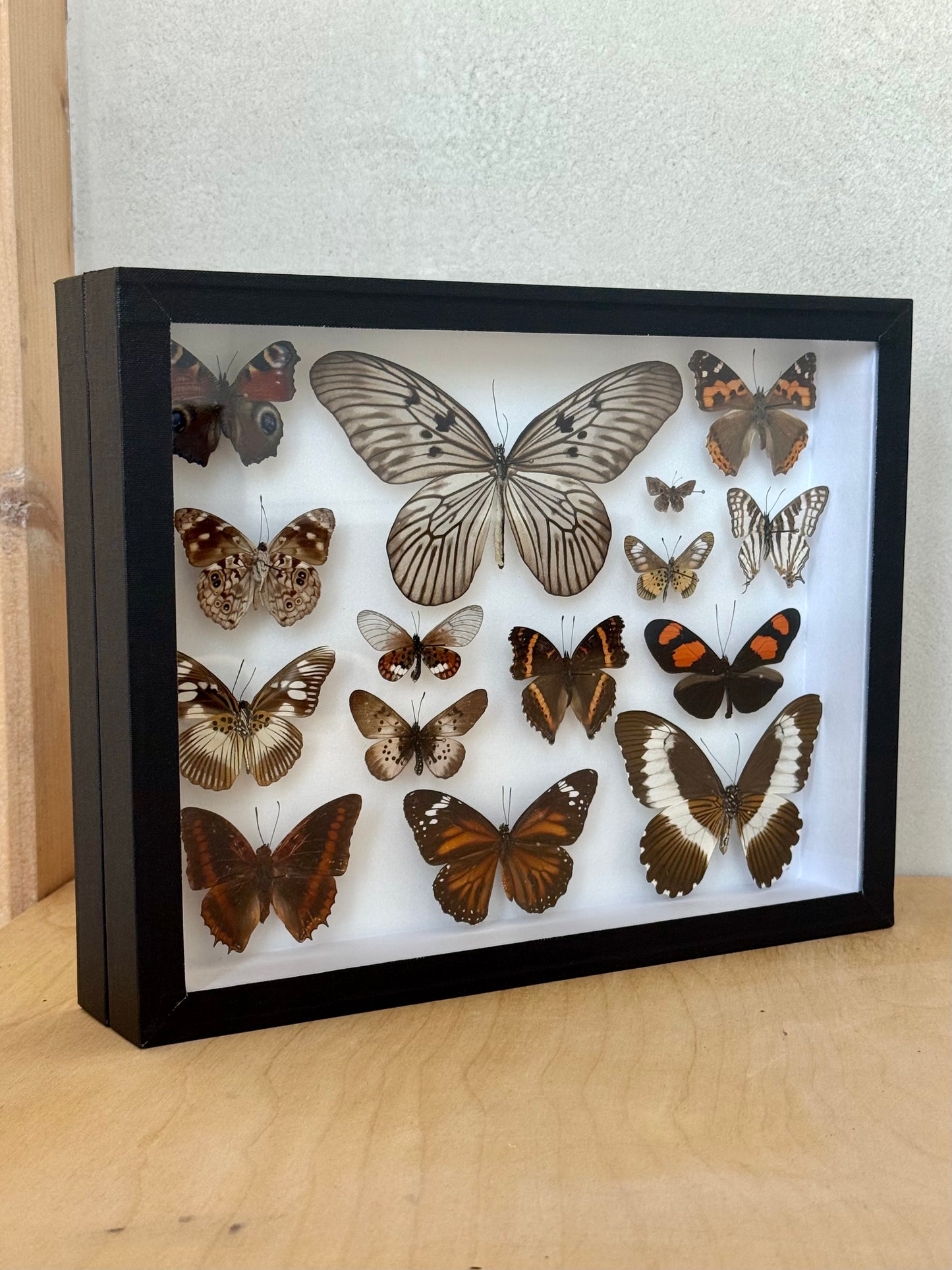 Earth & Ember Collection Frame