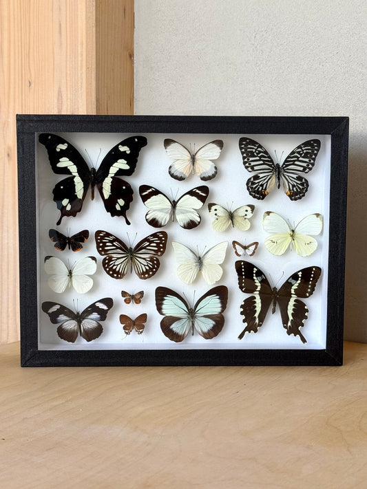 Black Tie Collection Frame