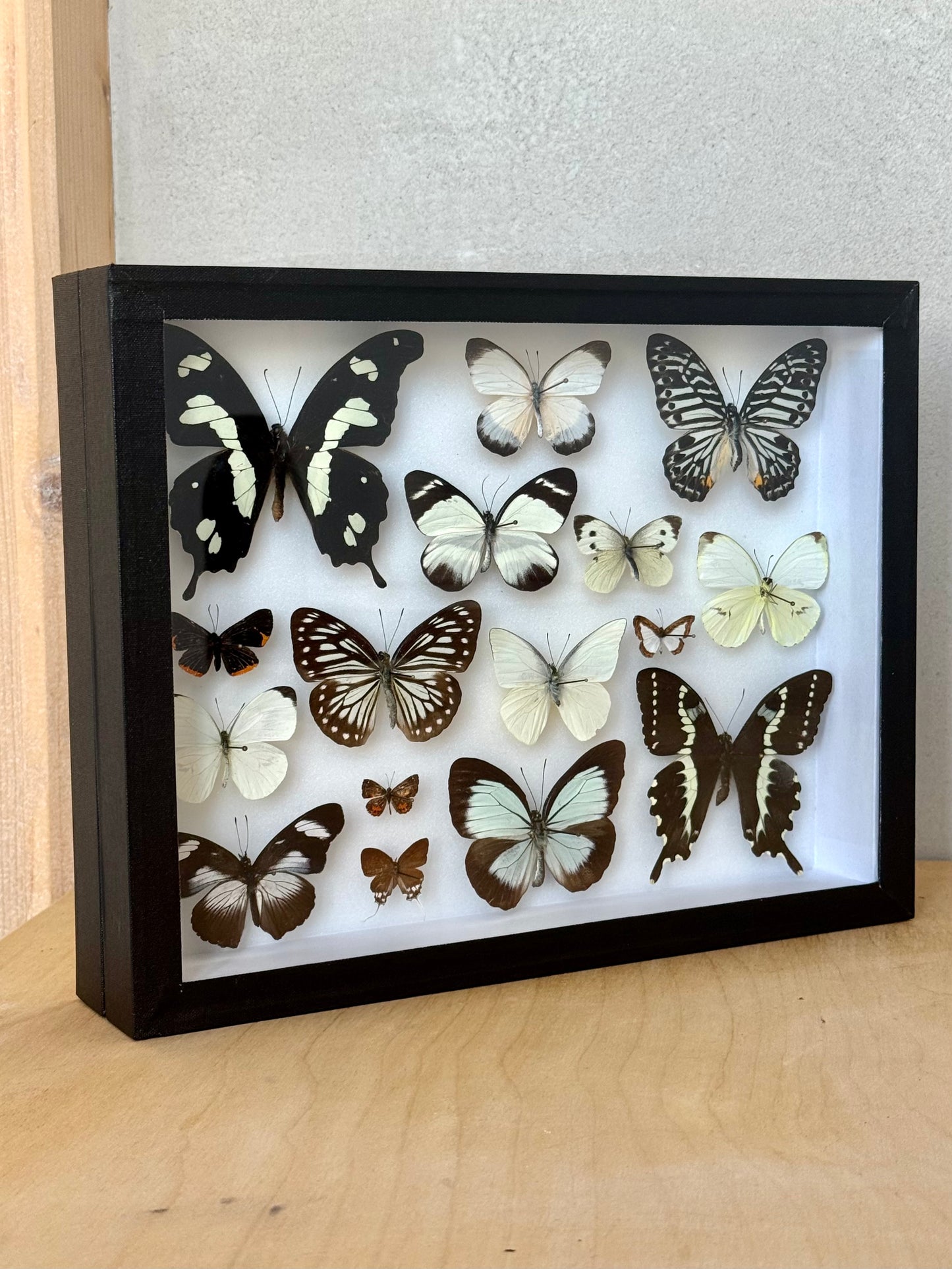 Black Tie Collection Frame