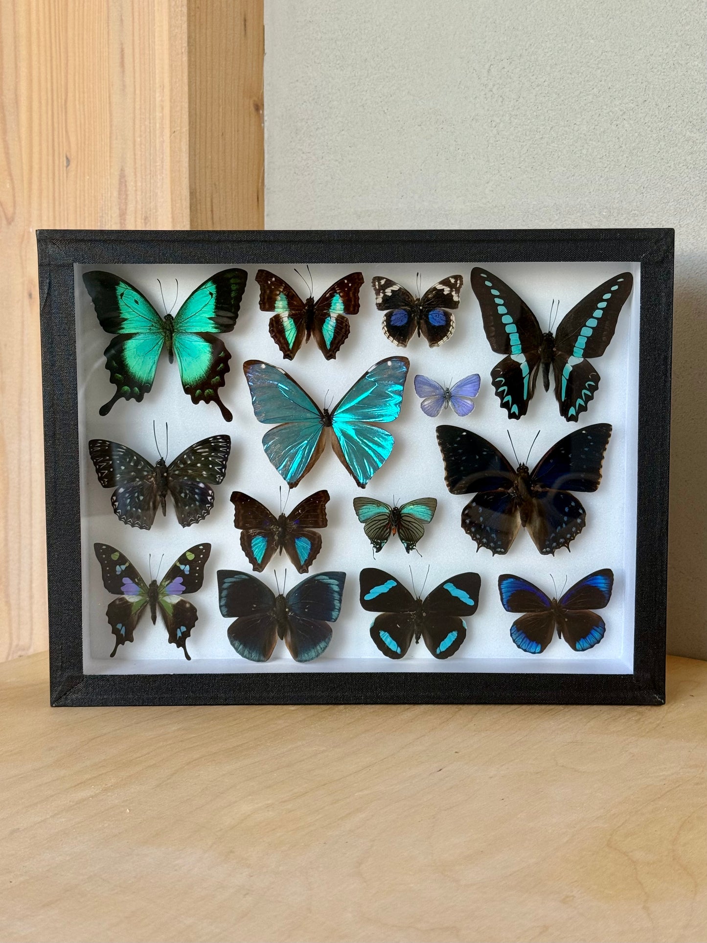 Tropical Lagoon Collection Frame