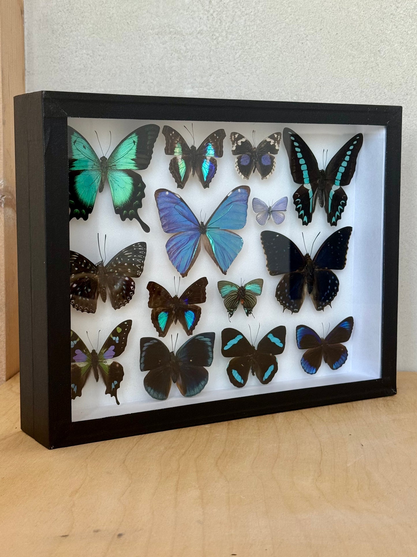 Tropical Lagoon Collection Frame