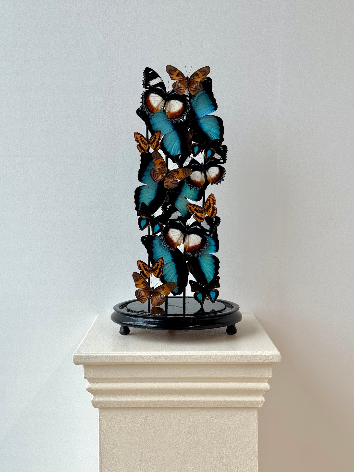 Autumnal Sun & Sky - UC STUDIO