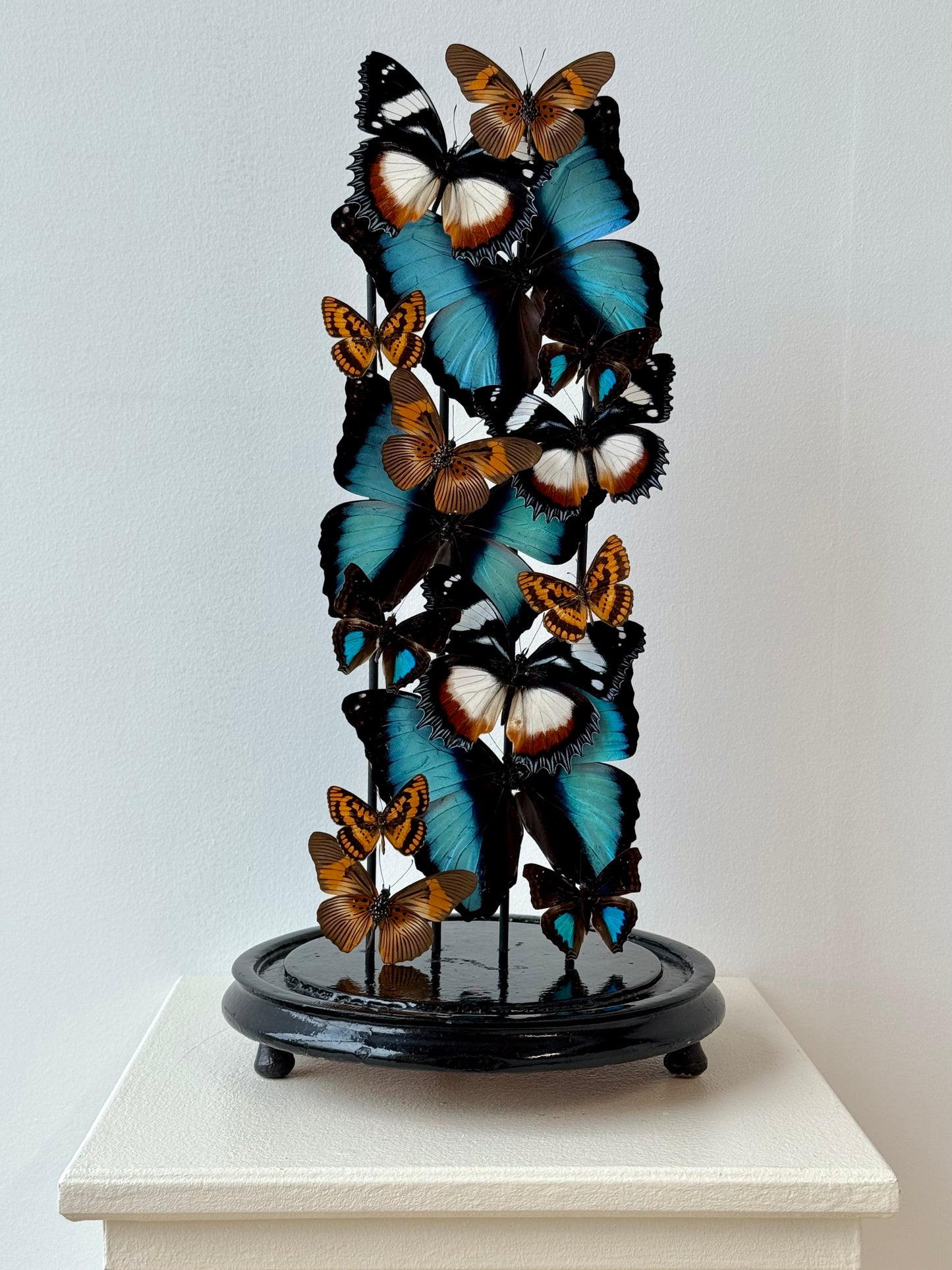 Autumnal Sun & Sky - UC STUDIO