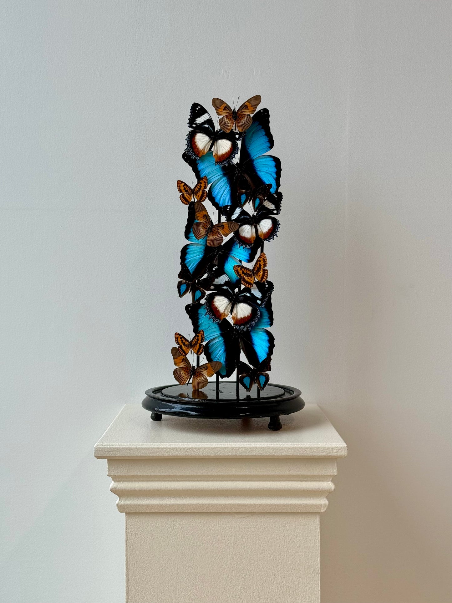 Autumnal Sun & Sky - UC STUDIO