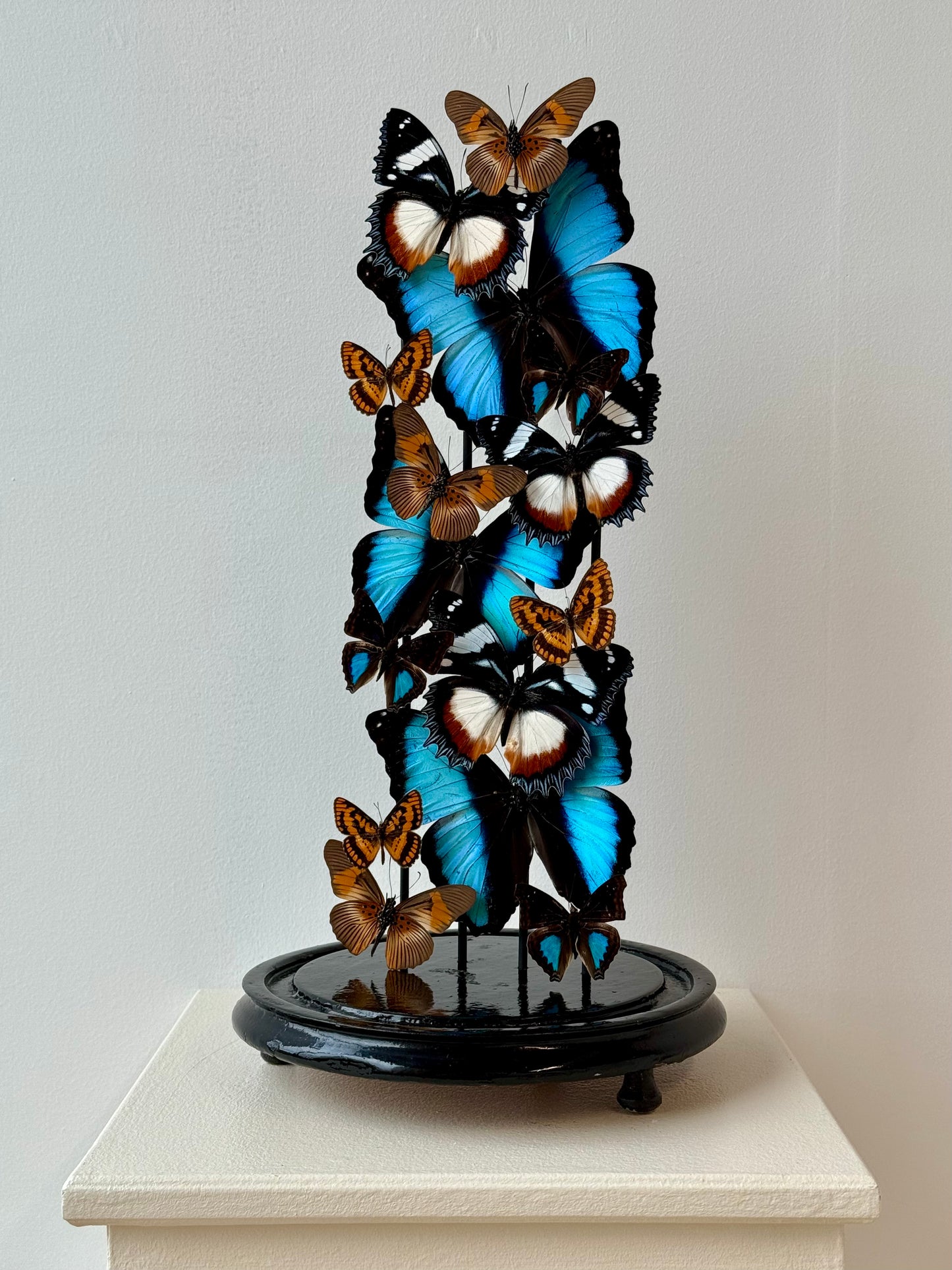 Autumnal Sun & Sky - UC STUDIO