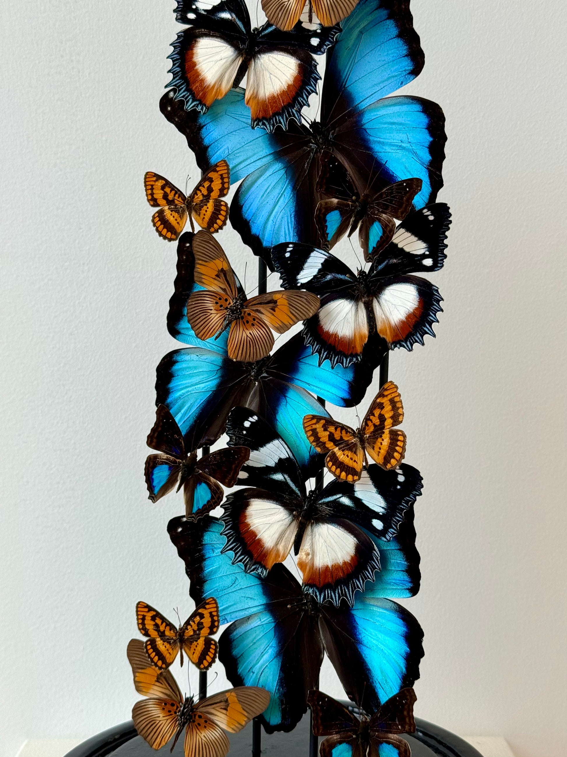 Autumnal Sun & Sky - UC STUDIO