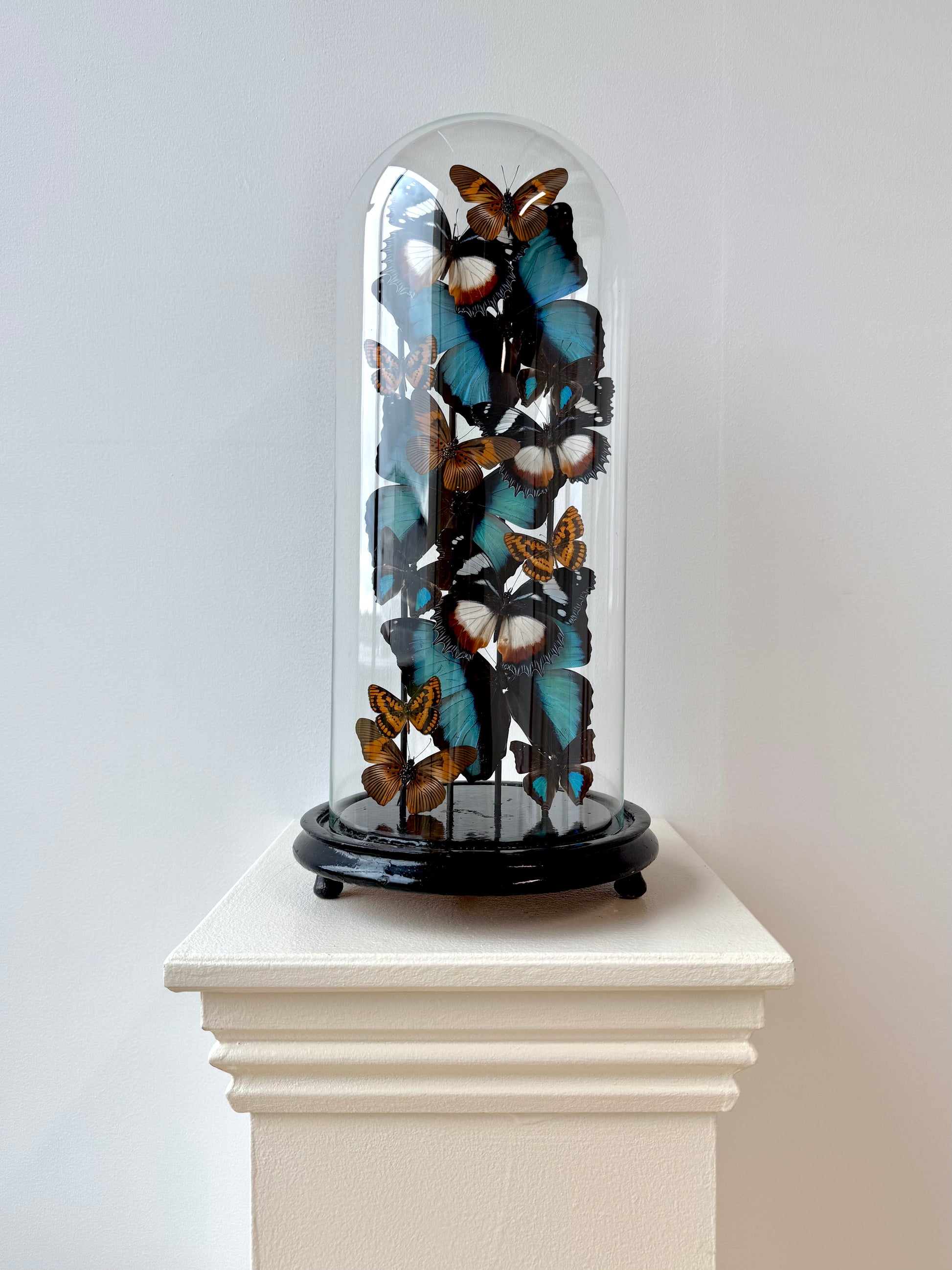 Autumnal Sun & Sky - UC STUDIO