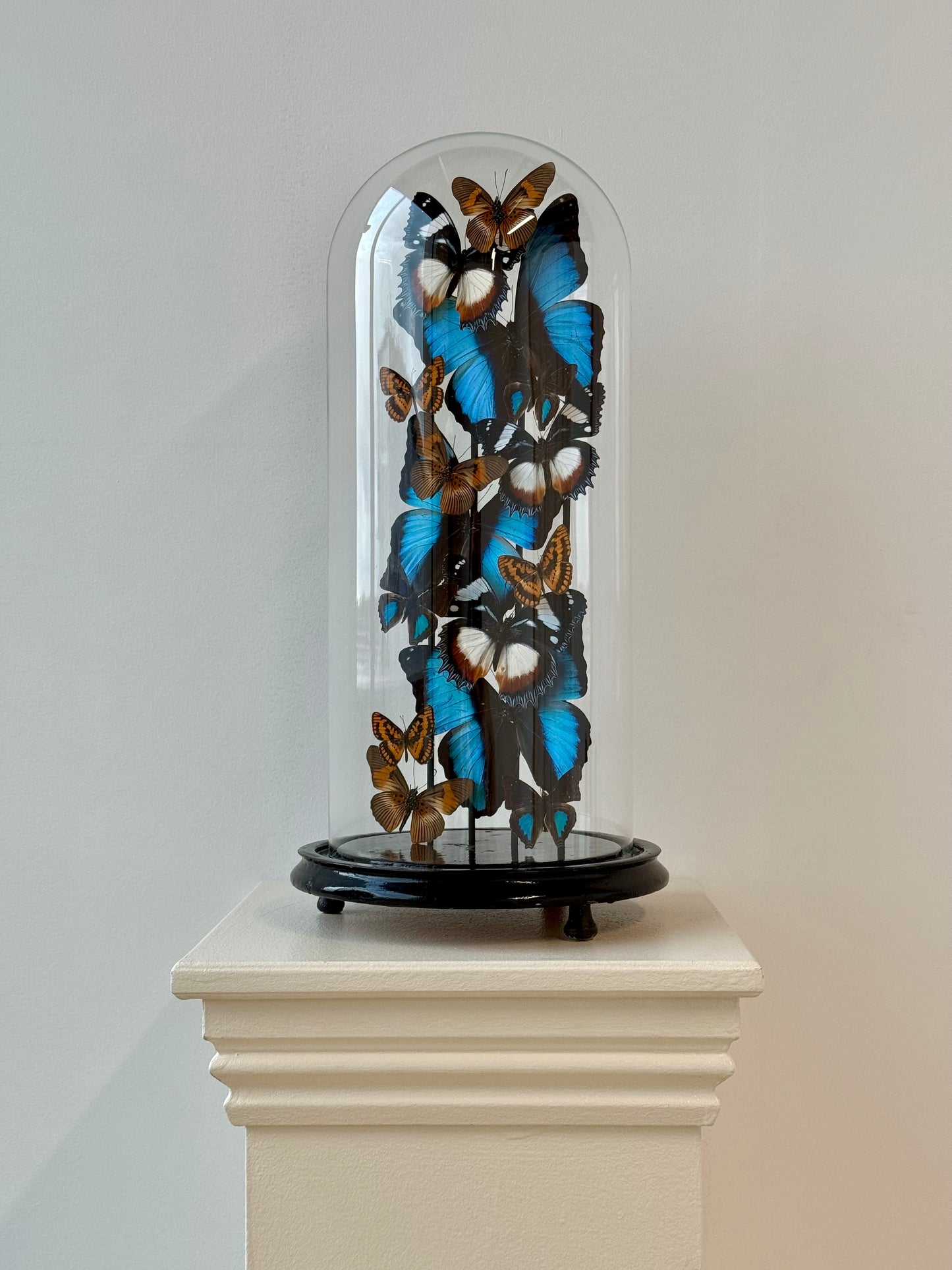 Autumnal Sun & Sky - UC STUDIO