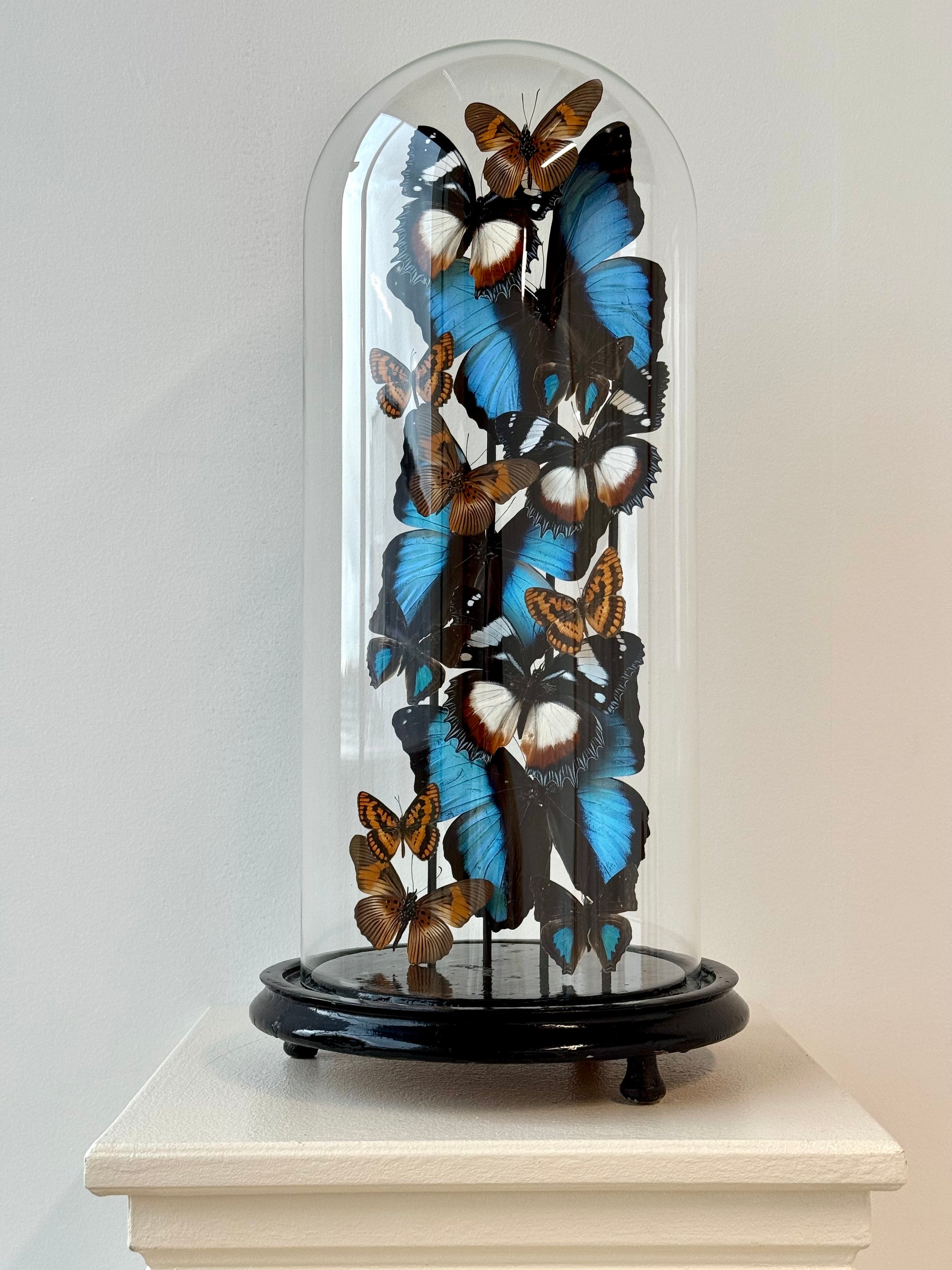 Autumnal Sun & Sky - UC STUDIO