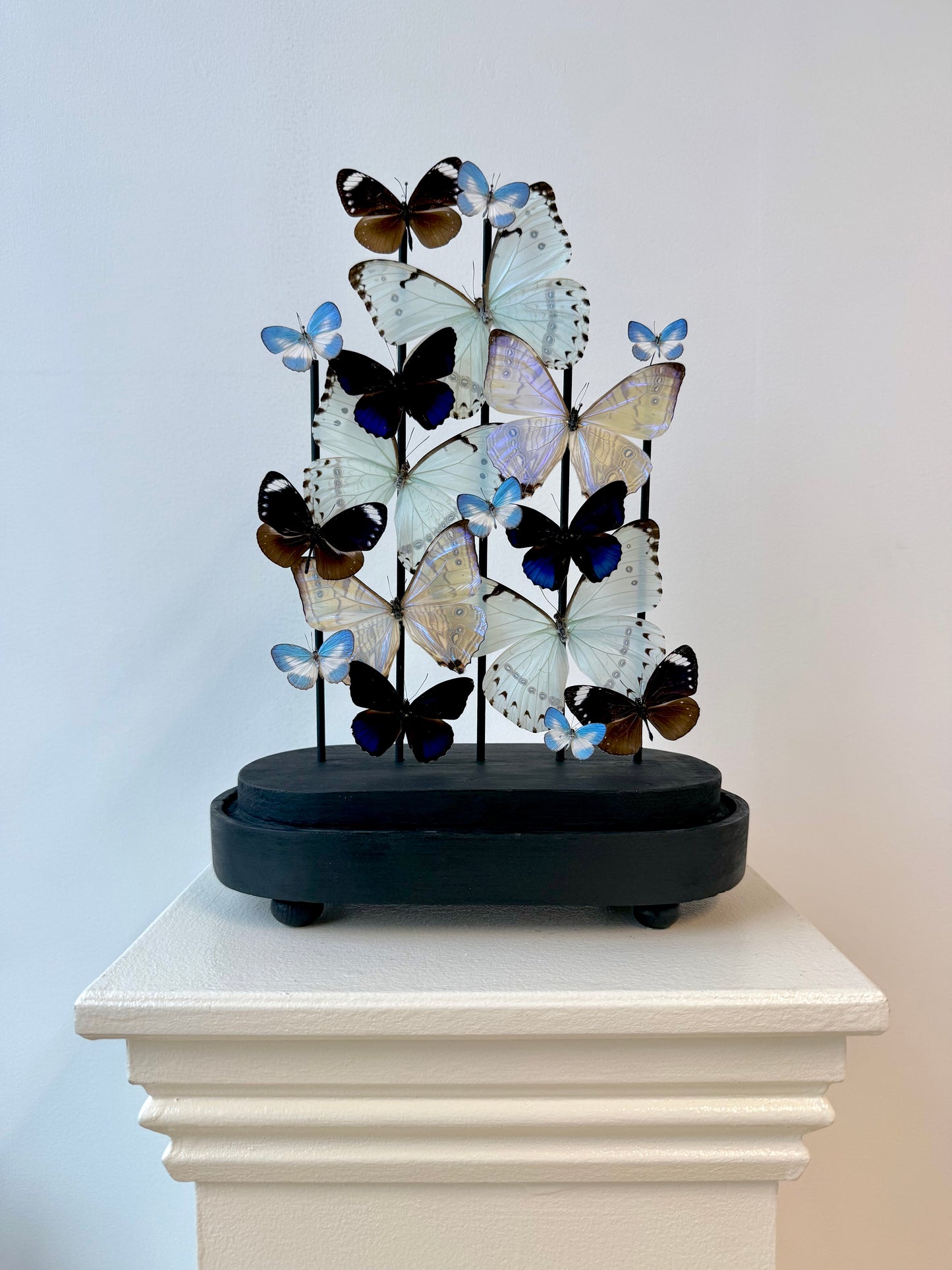 Whispered Glow - UC STUDIO