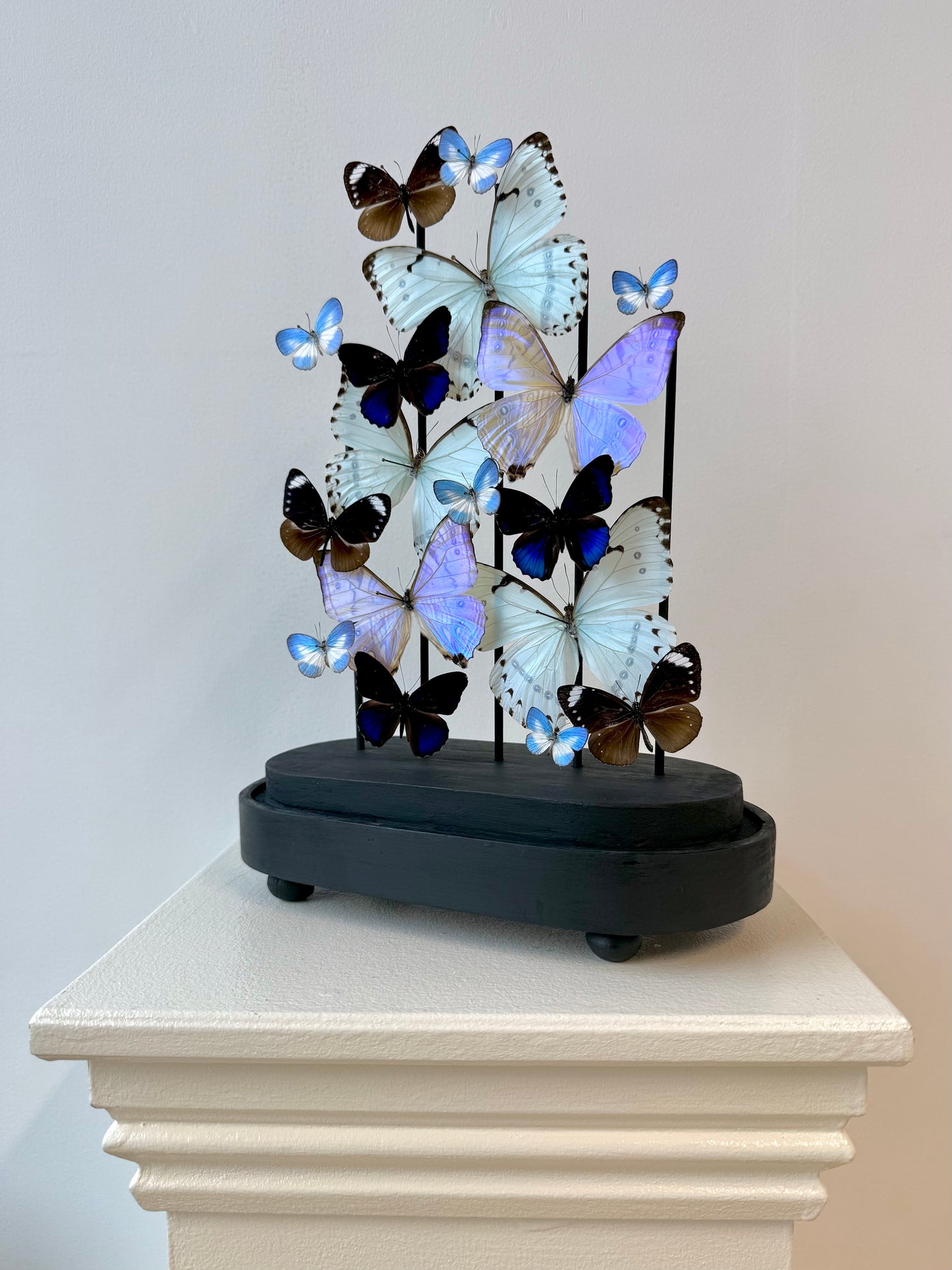 Whispered Glow - UC STUDIO