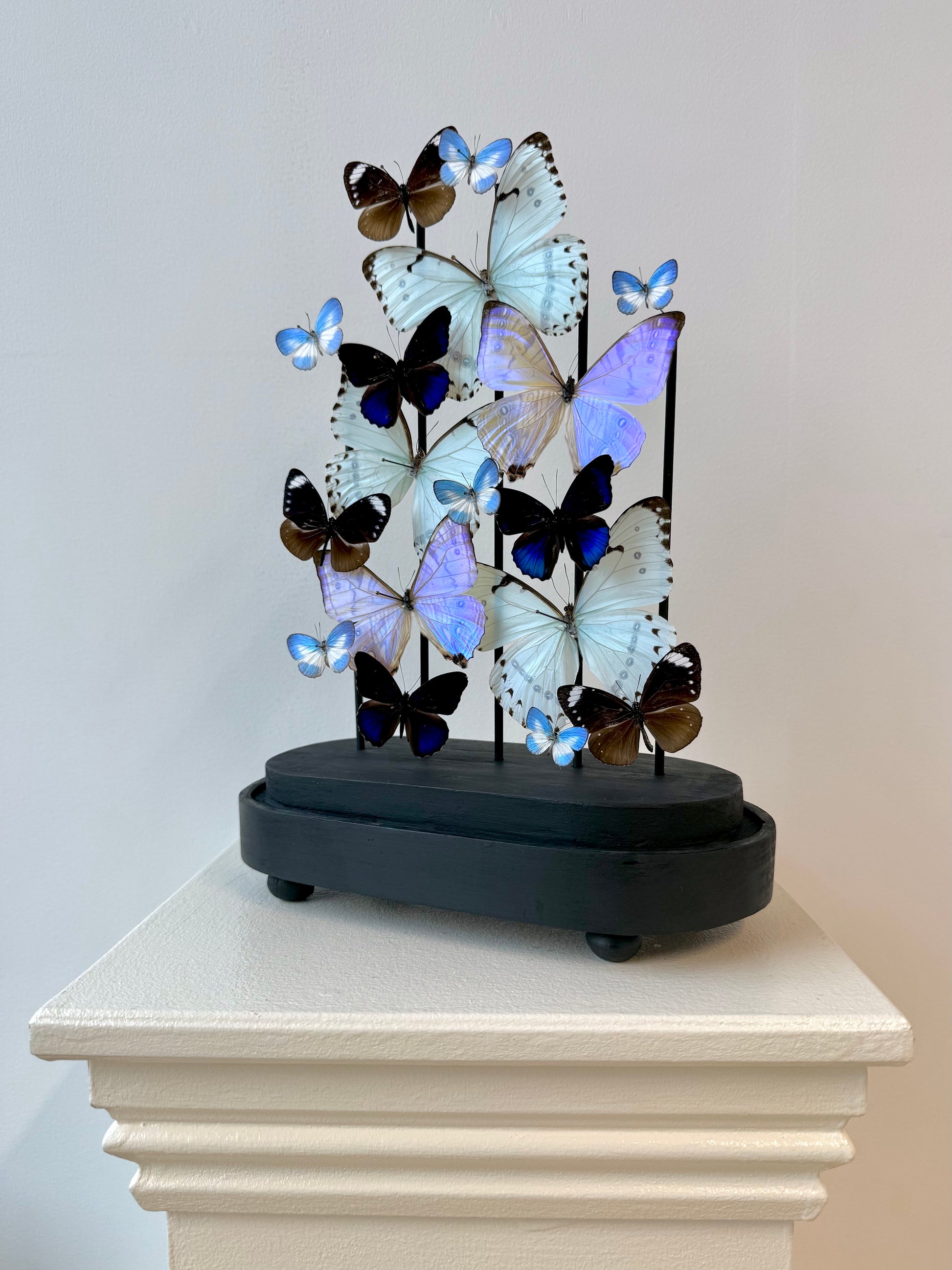 Whispered Glow - UC STUDIO