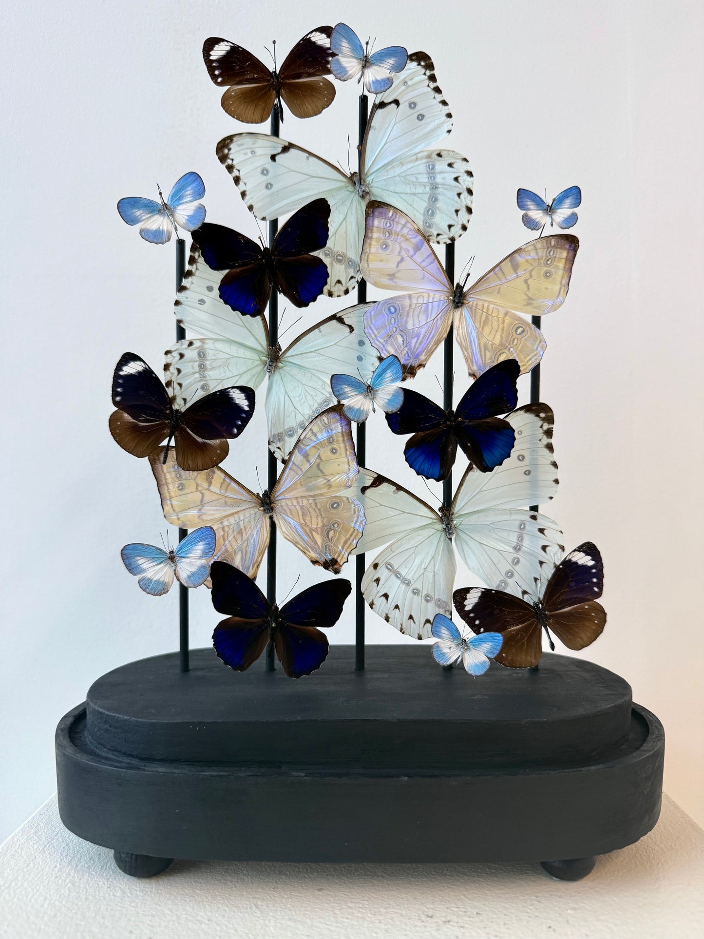 Whispered Glow - UC STUDIO