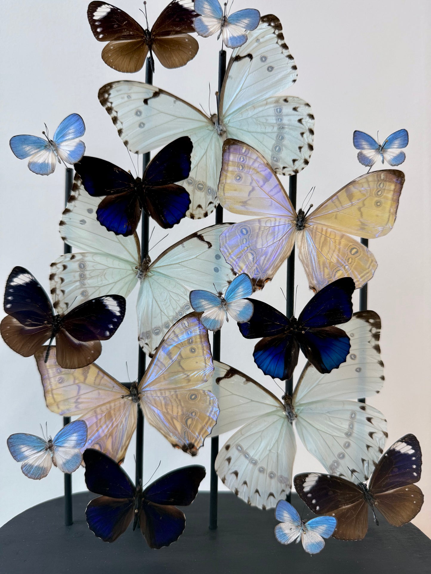 Whispered Glow - UC STUDIO