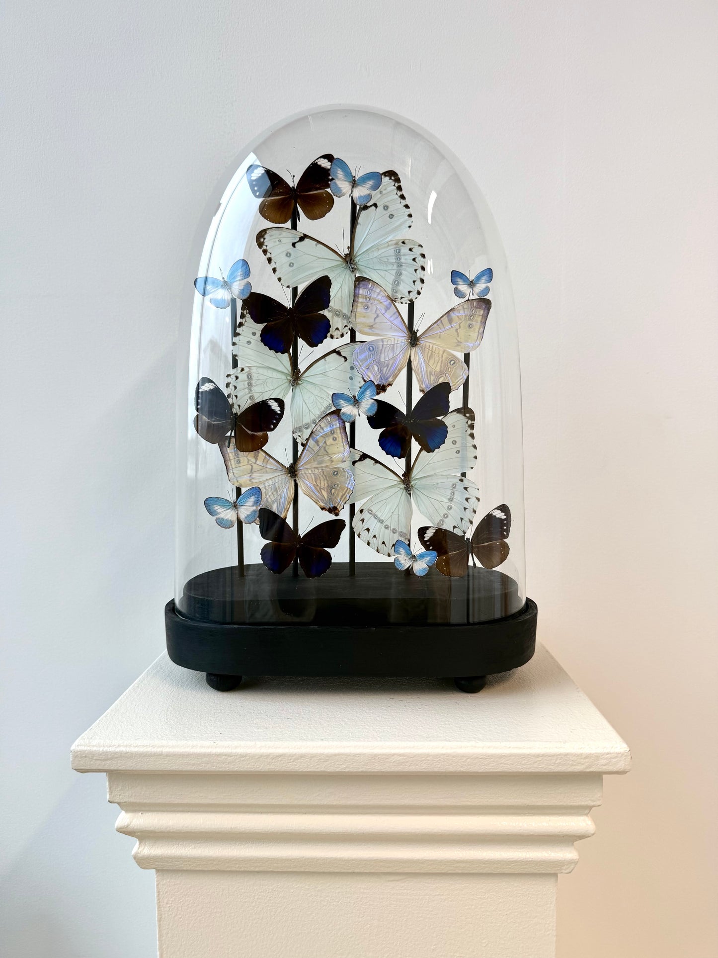 Whispered Glow - UC STUDIO