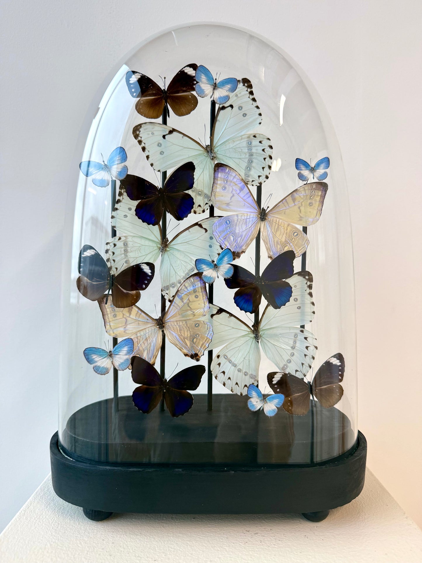 Whispered Glow - UC STUDIO