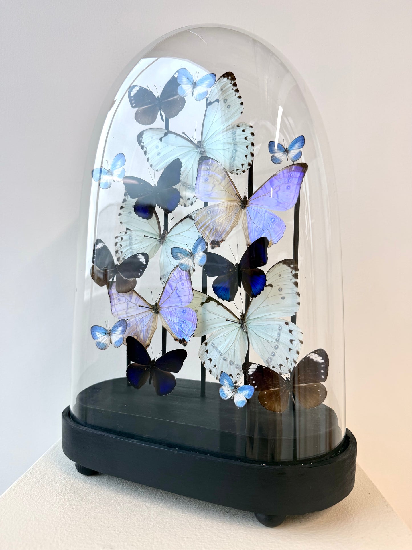 Whispered Glow - UC STUDIO