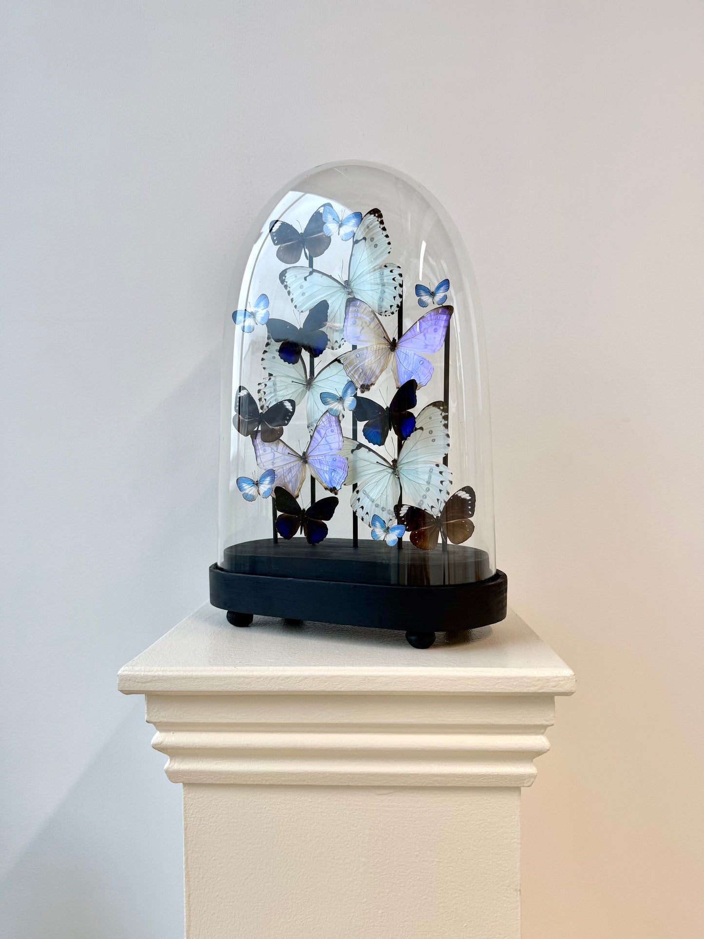 Whispered Glow - UC STUDIO