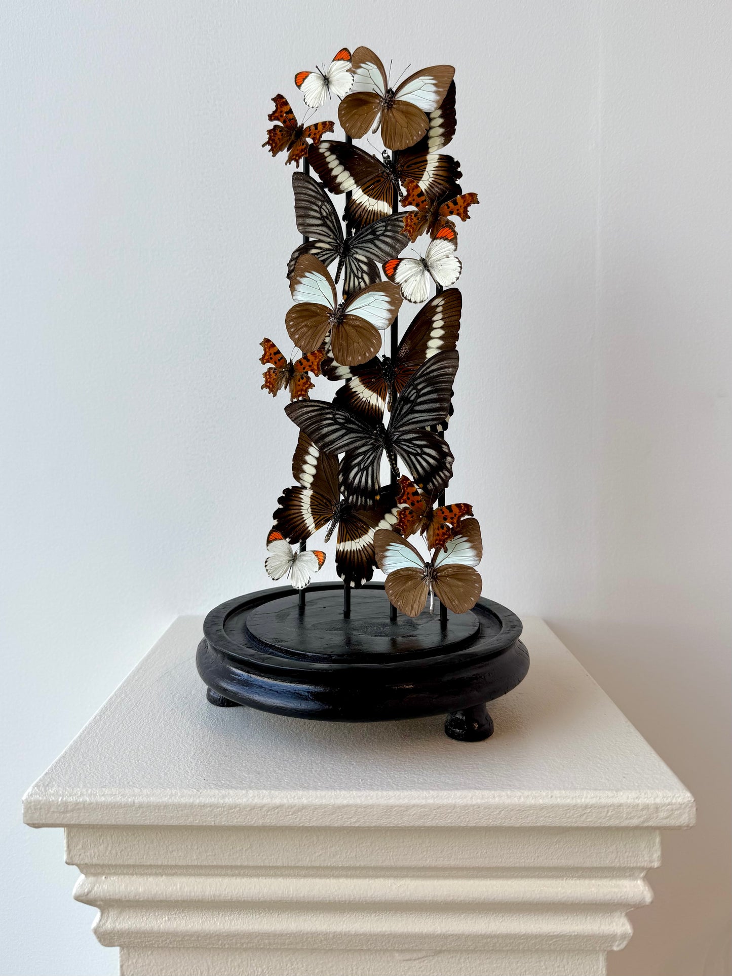 Quiet Fire - UC STUDIO