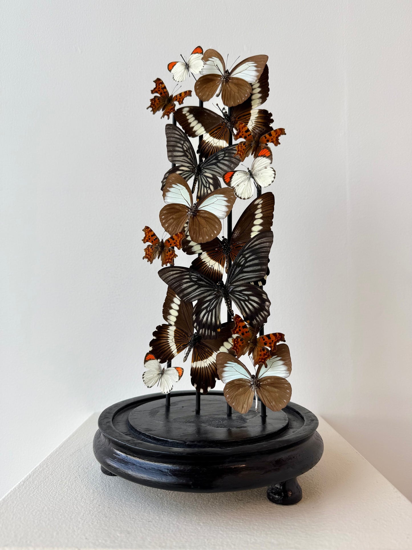 Quiet Fire - UC STUDIO