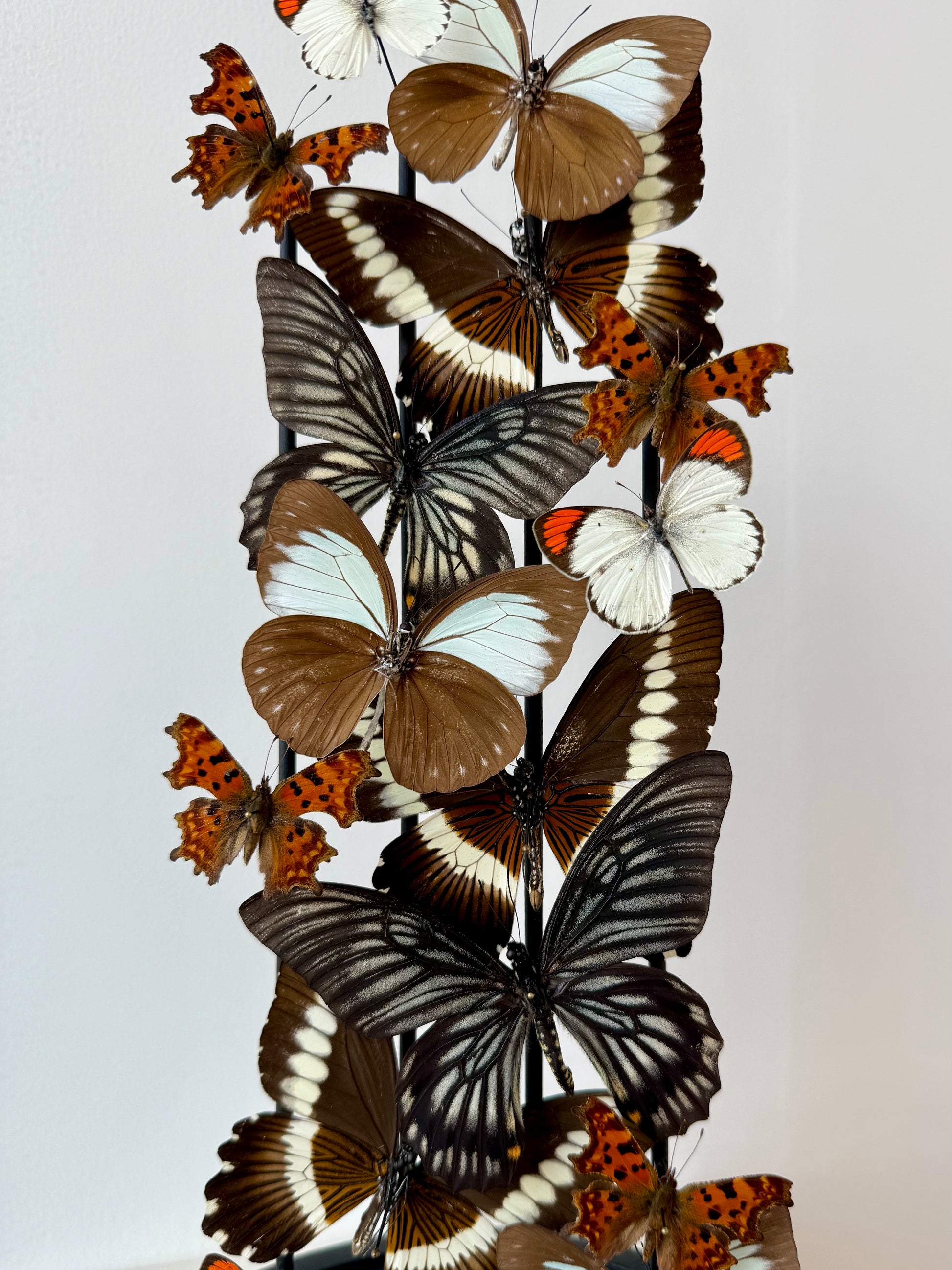 Quiet Fire - UC STUDIO