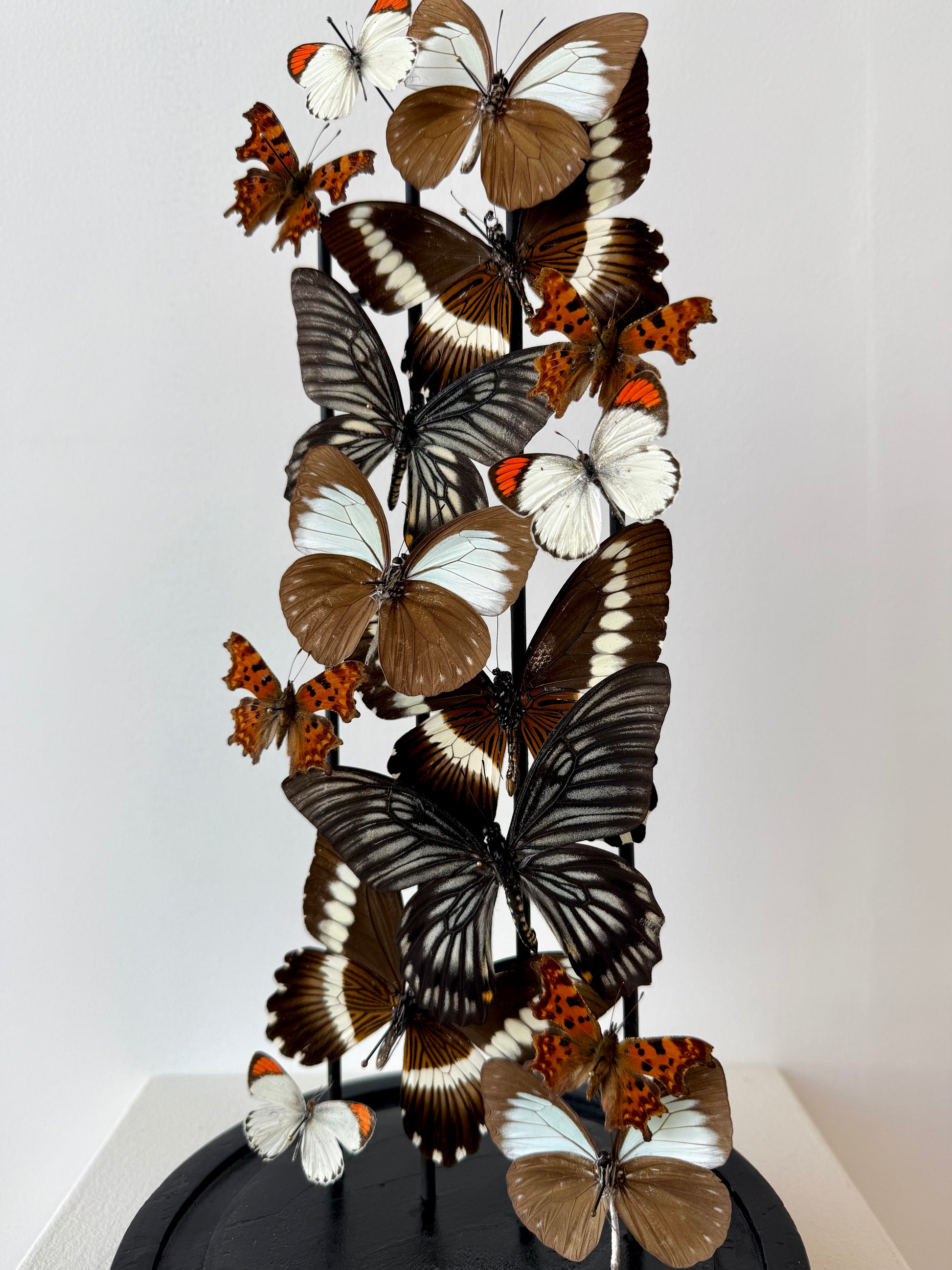 Quiet Fire - UC STUDIO