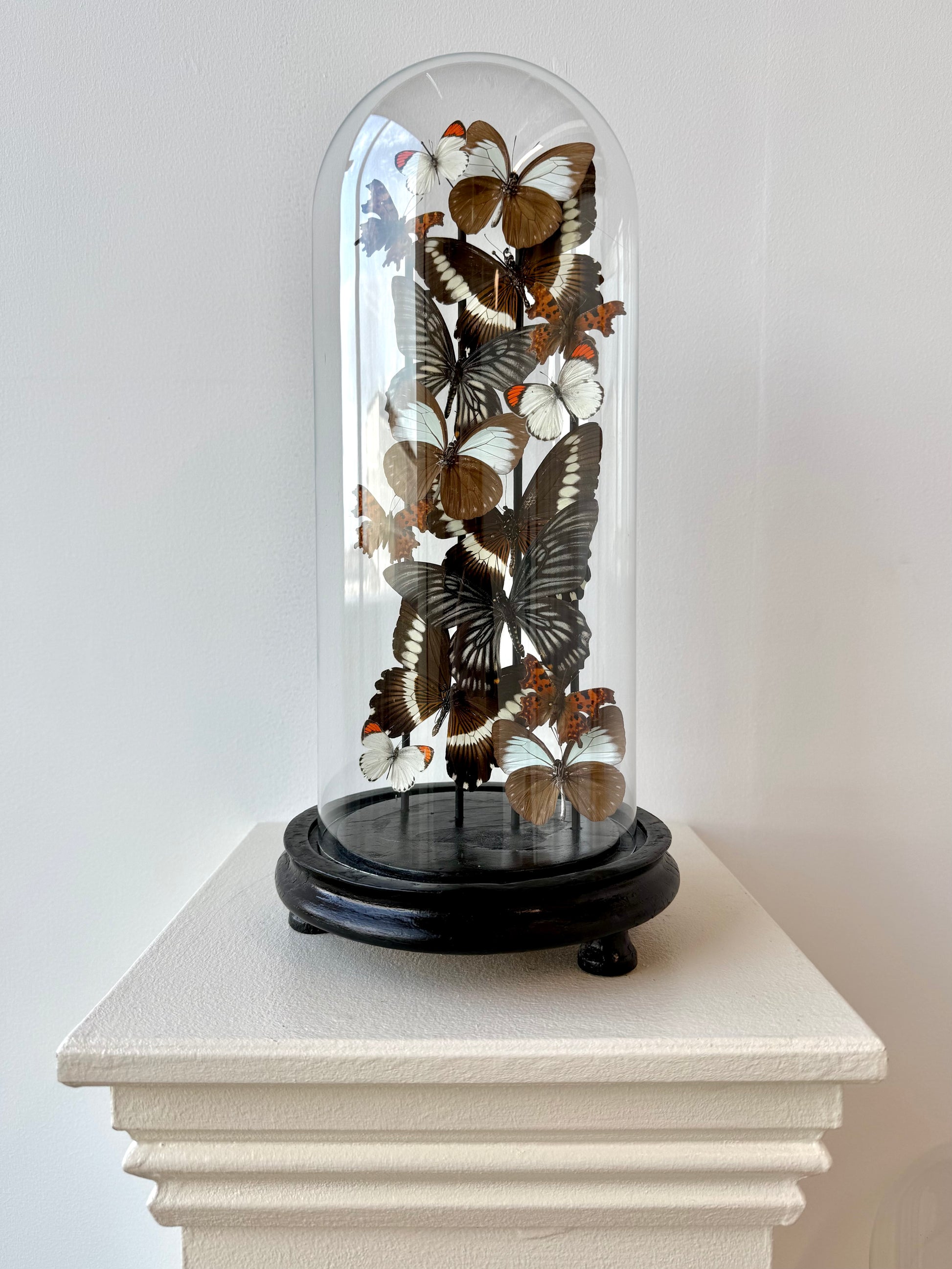 Quiet Fire - UC STUDIO