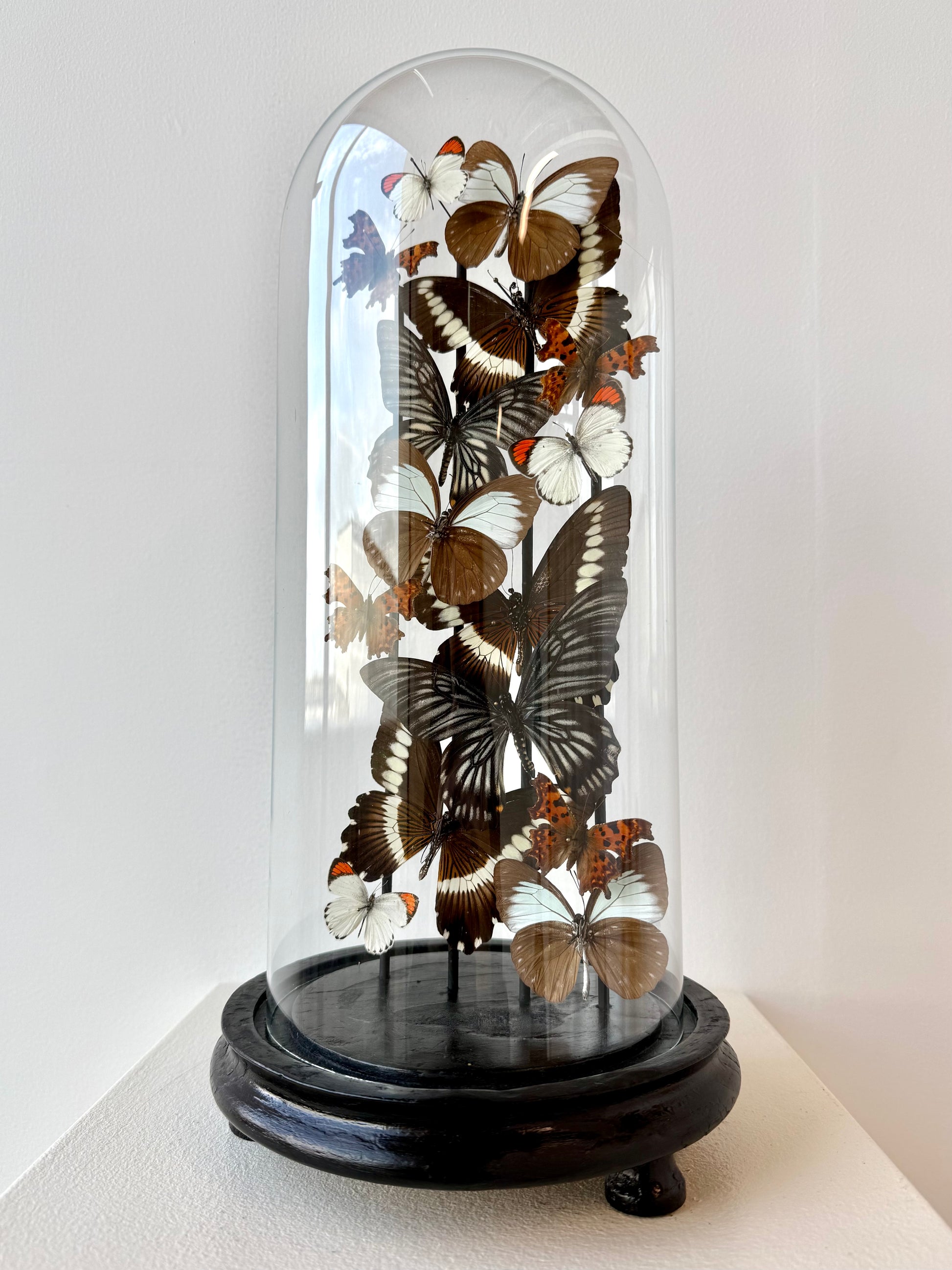 Quiet Fire - UC STUDIO