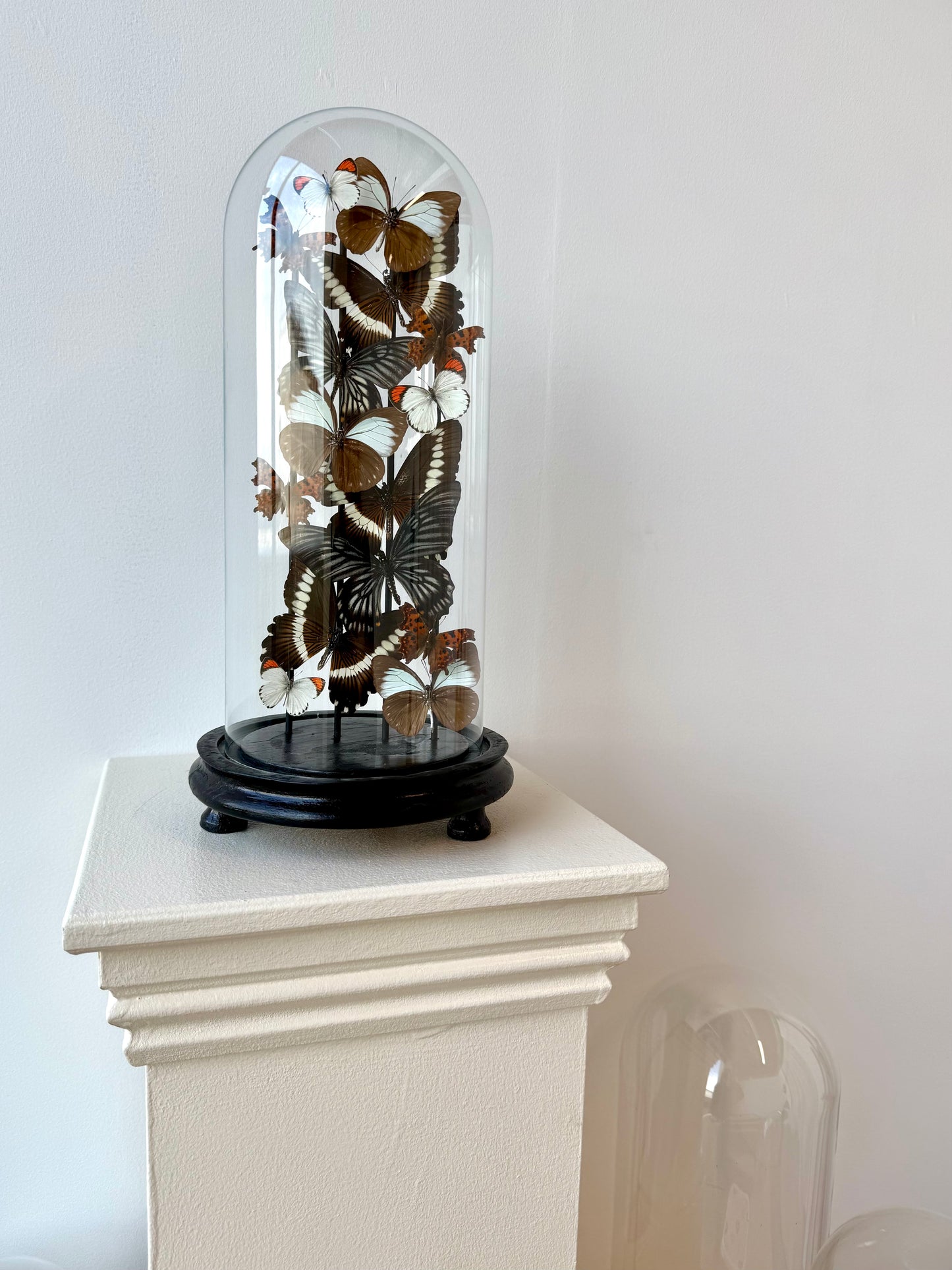 Quiet Fire - UC STUDIO