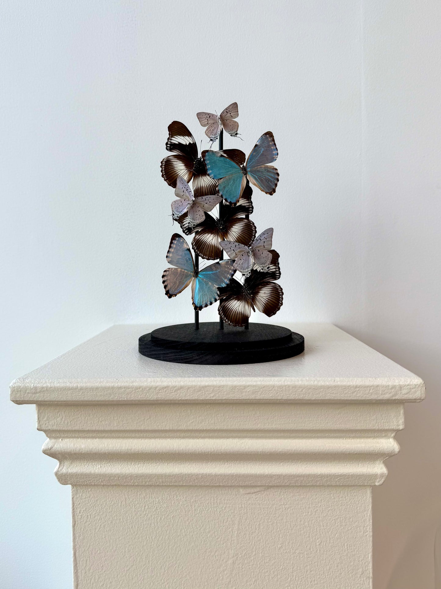 Just Breathe - UC STUDIO