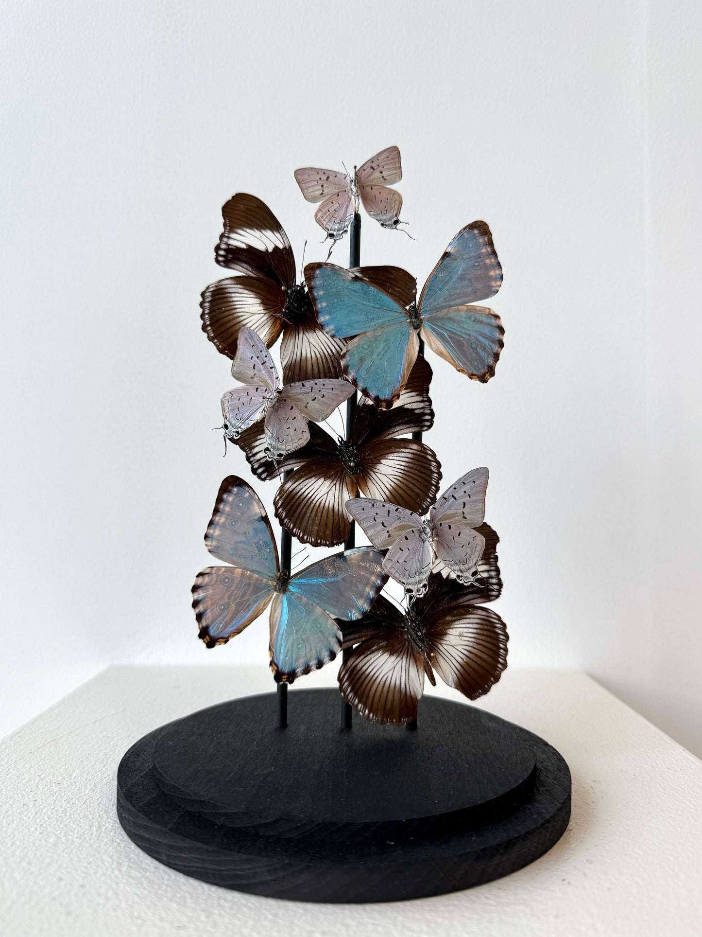 Just Breathe - UC STUDIO