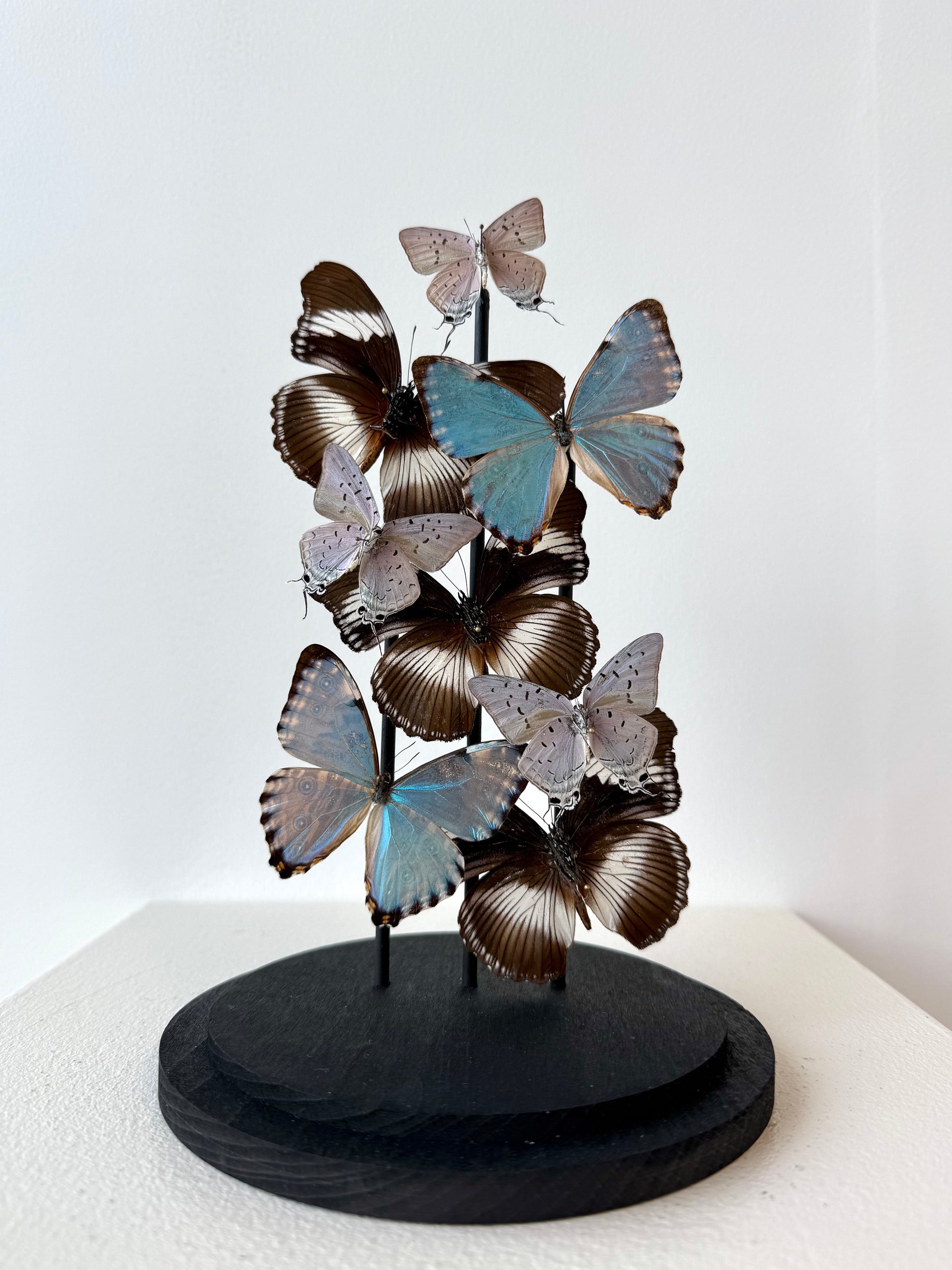 Just Breathe - UC STUDIO