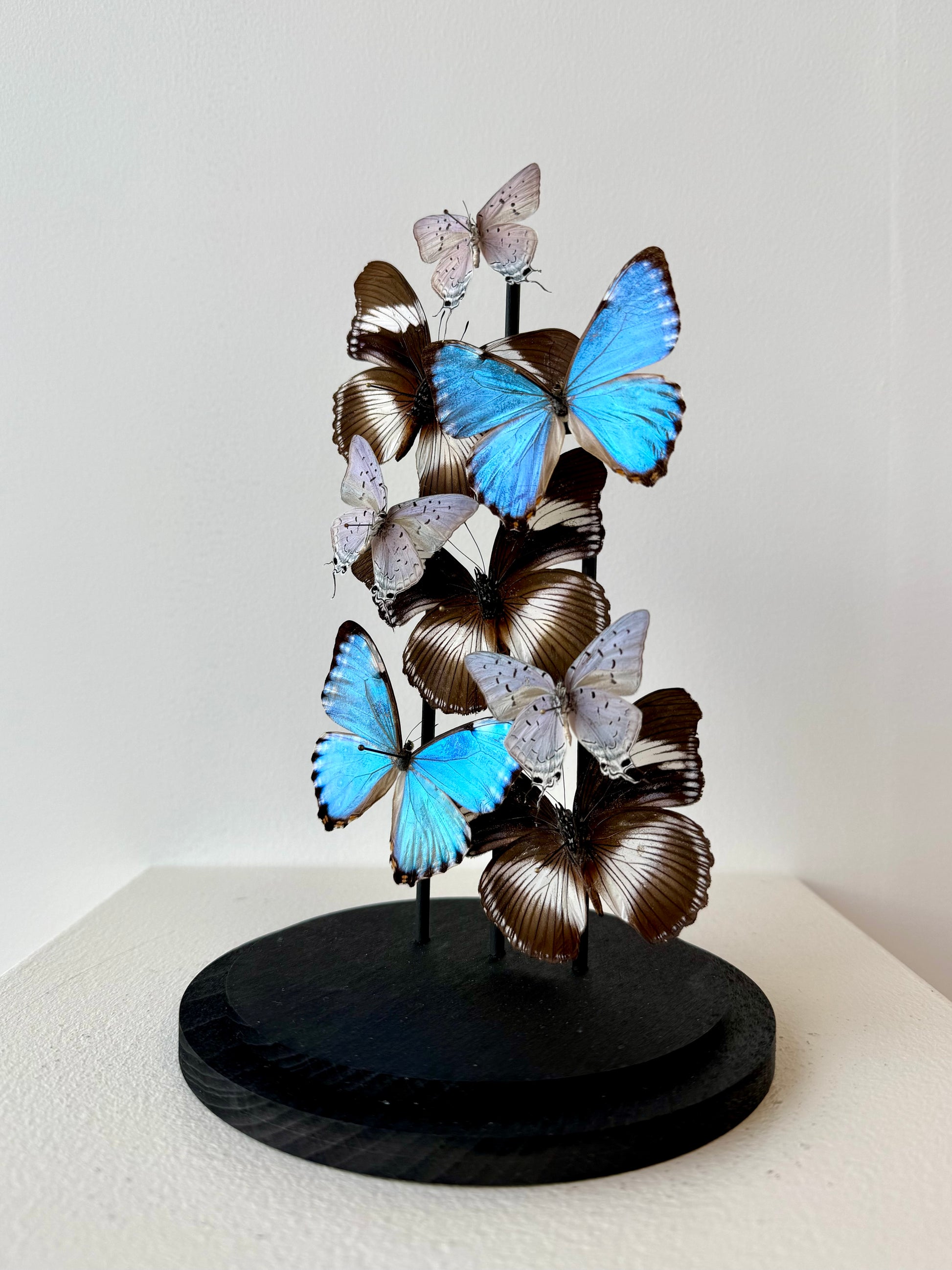 Just Breathe - UC STUDIO