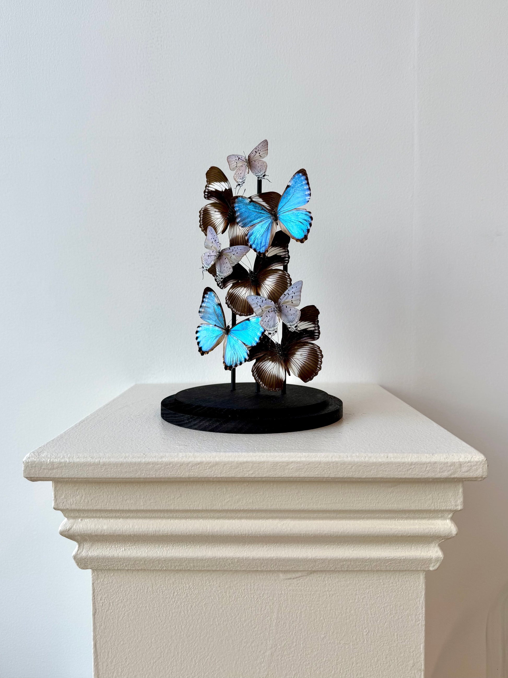 Just Breathe - UC STUDIO