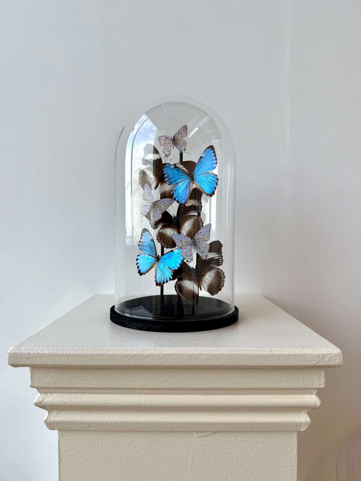 Just Breathe - UC STUDIO