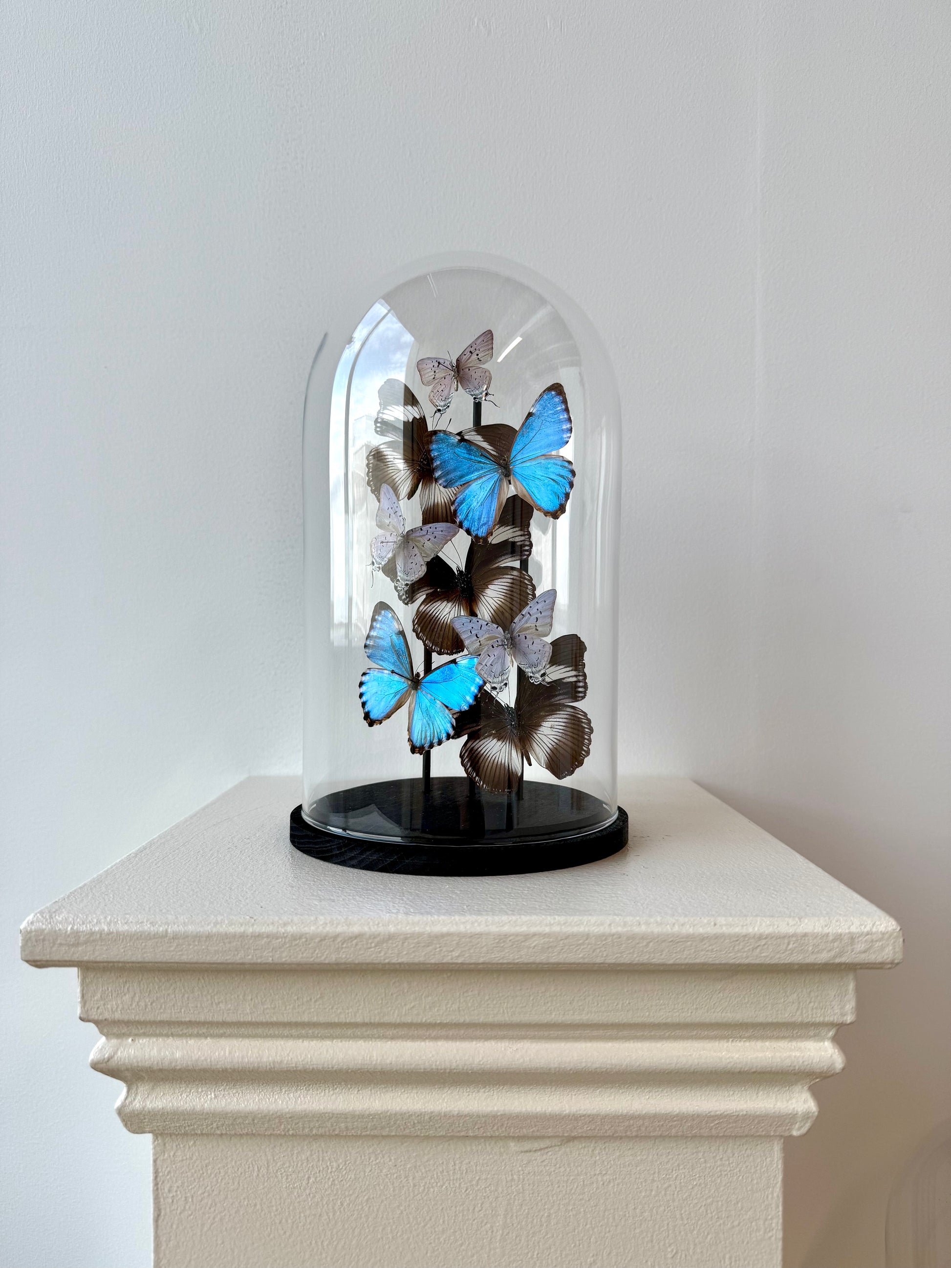 Just Breathe - UC STUDIO