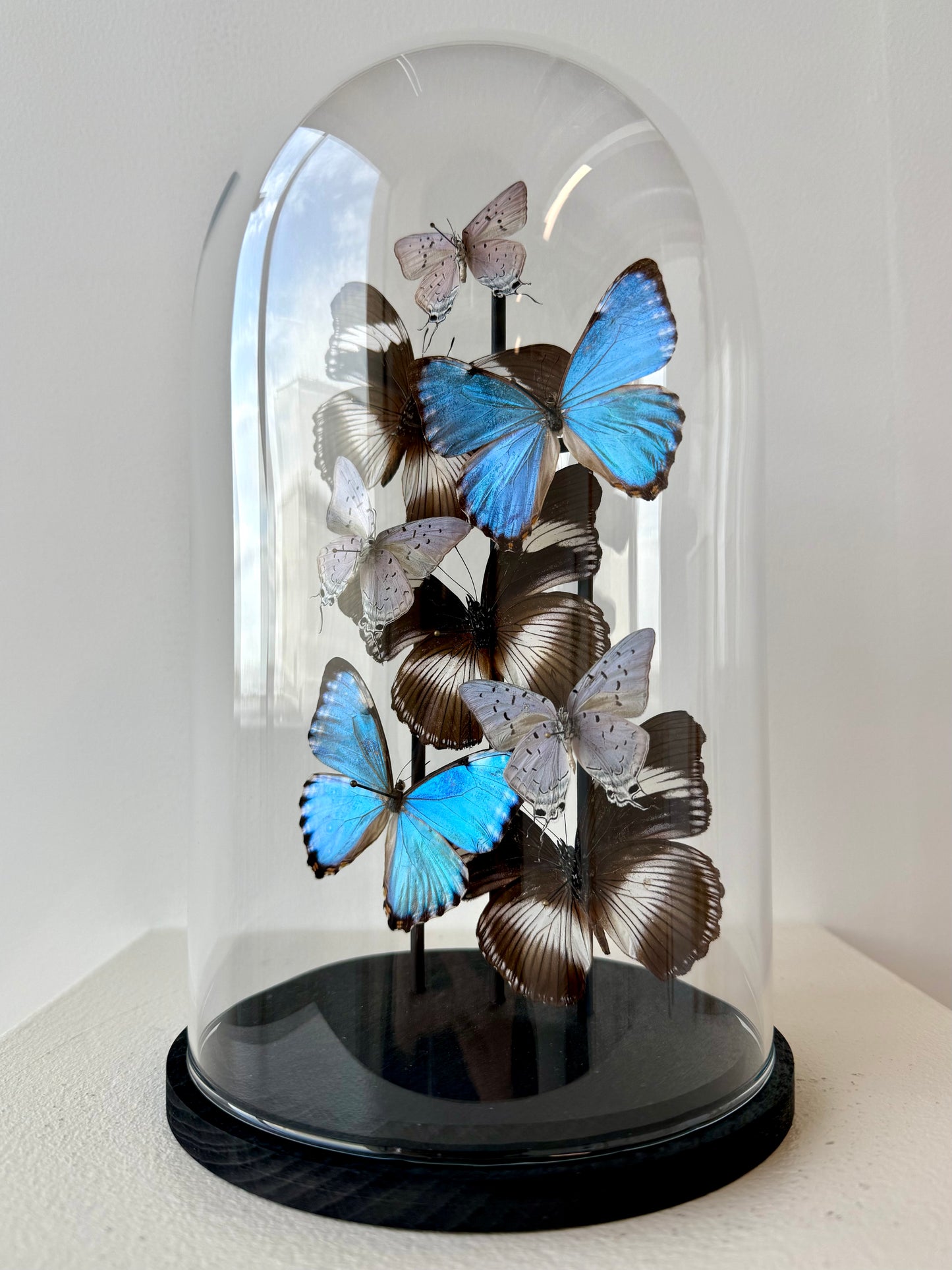 Just Breathe - UC STUDIO