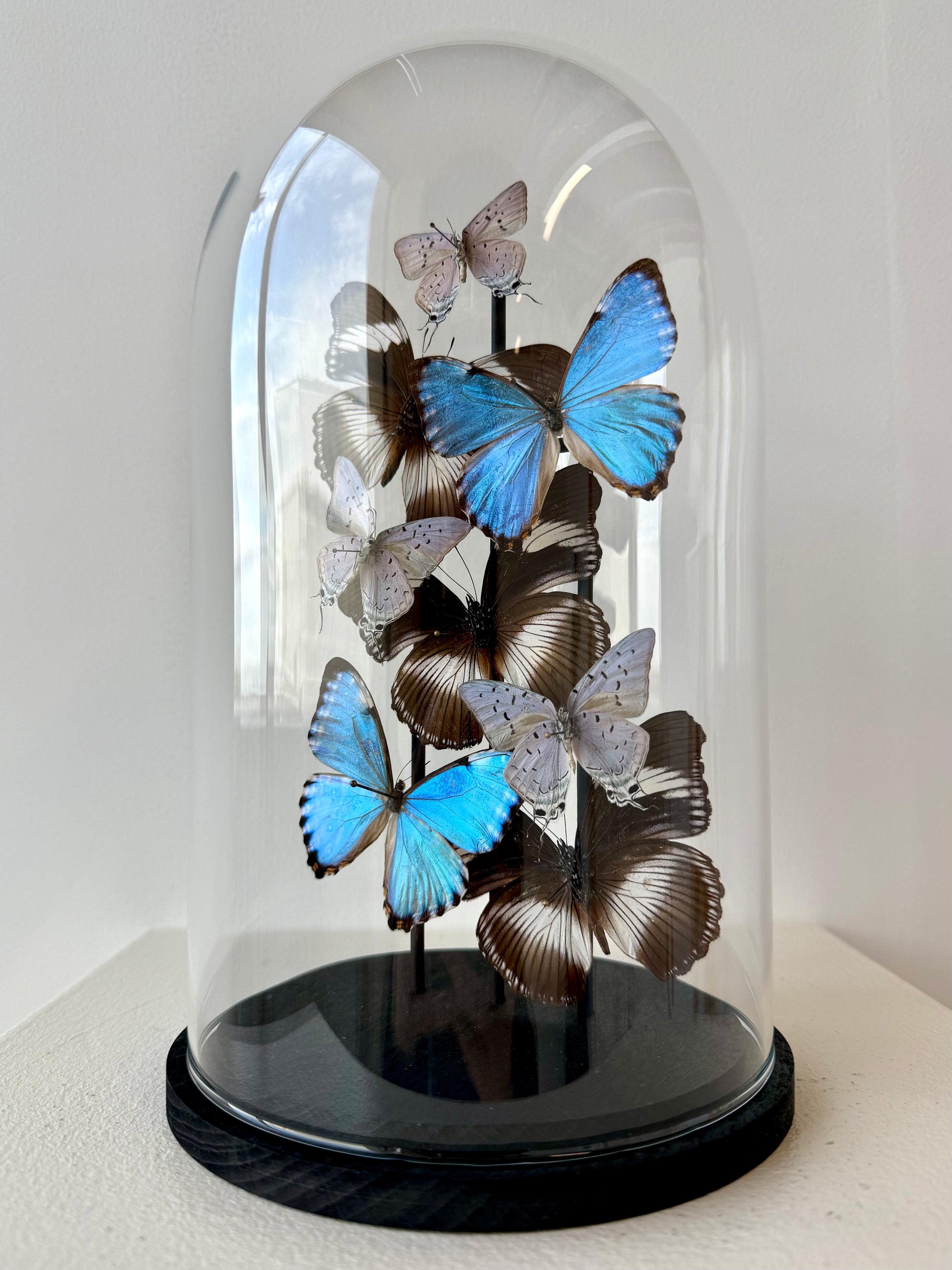 Just Breathe - UC STUDIO