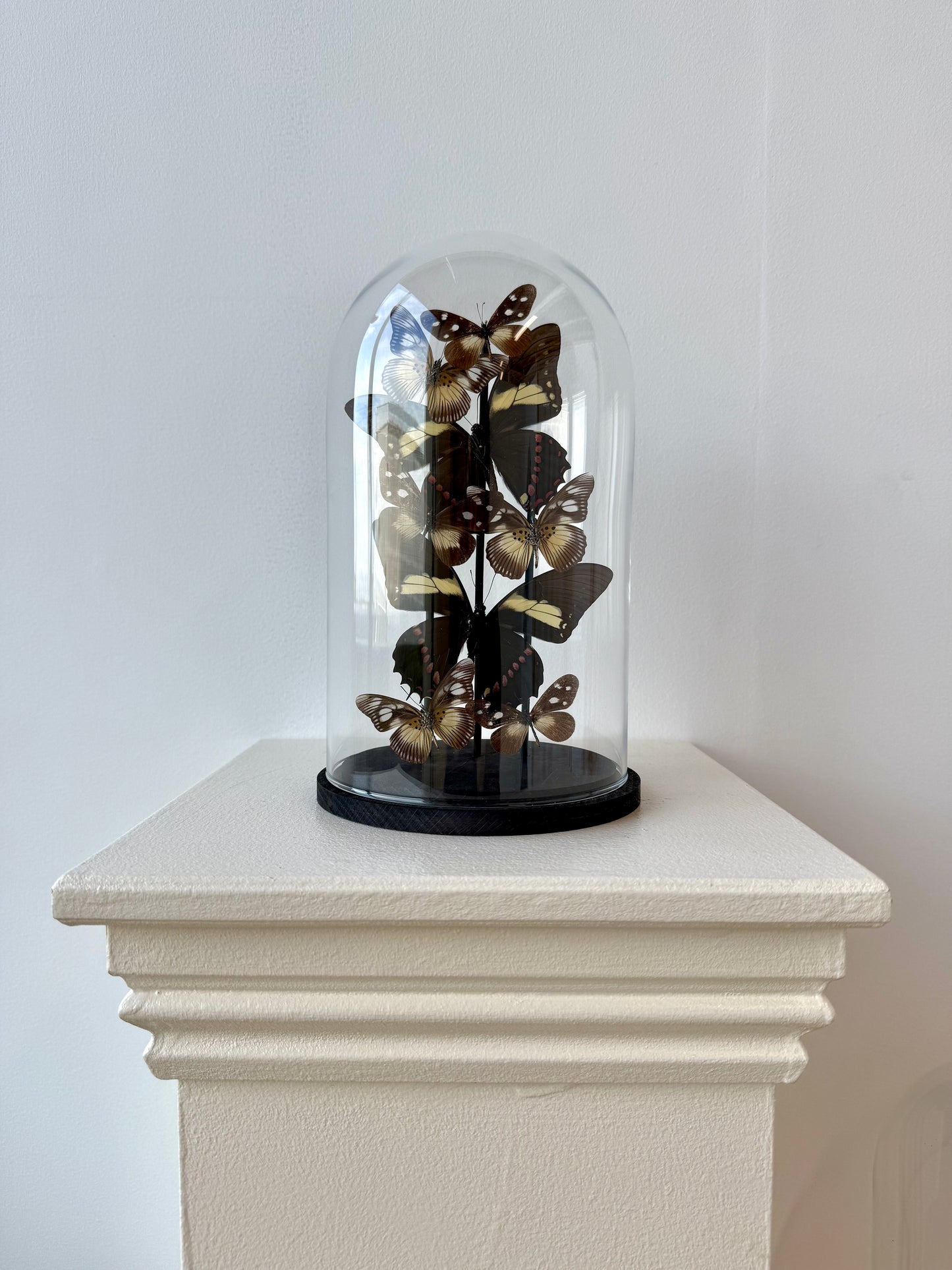 Form & Shadow - UC STUDIO