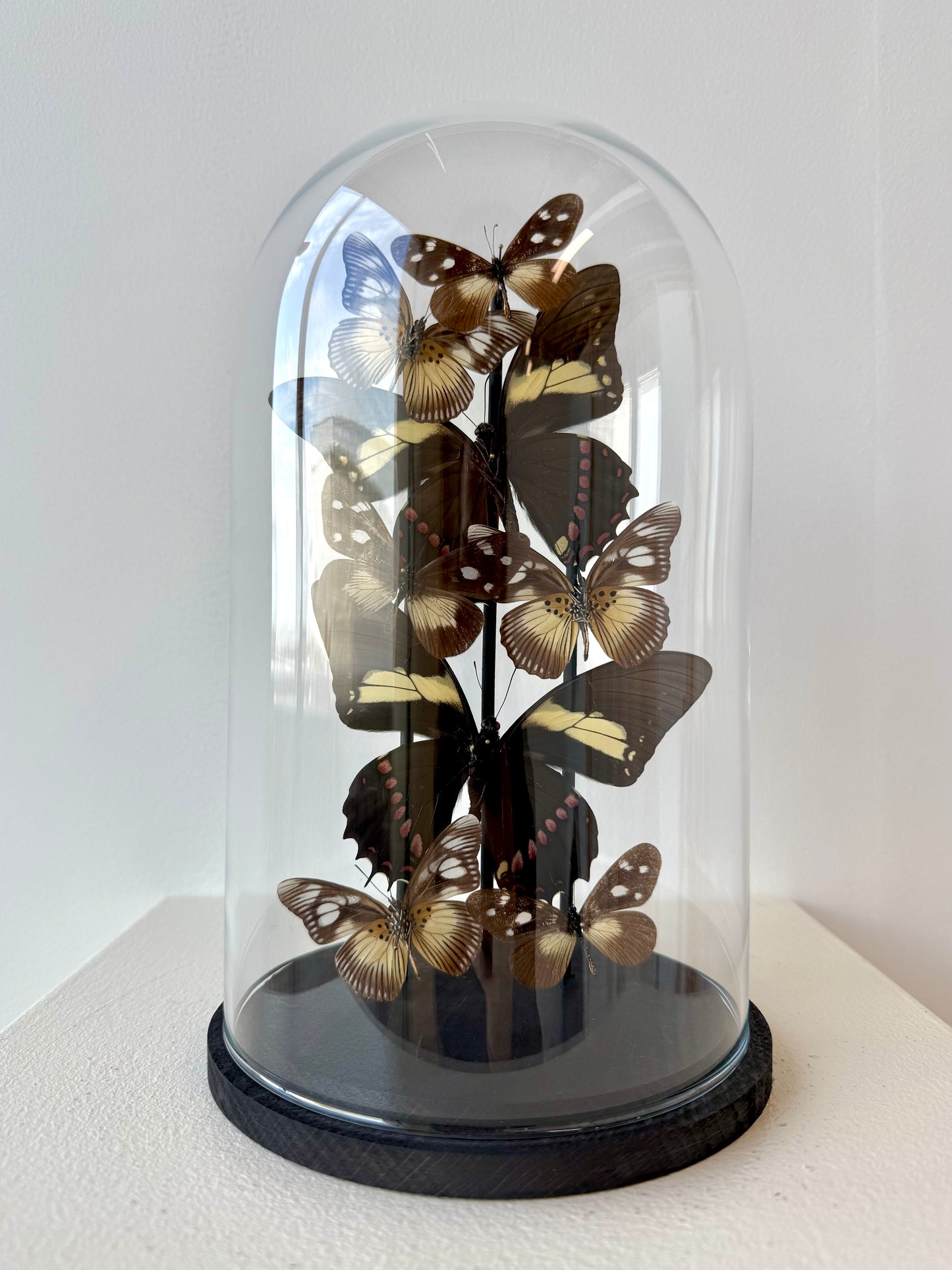 Form & Shadow - UC STUDIO