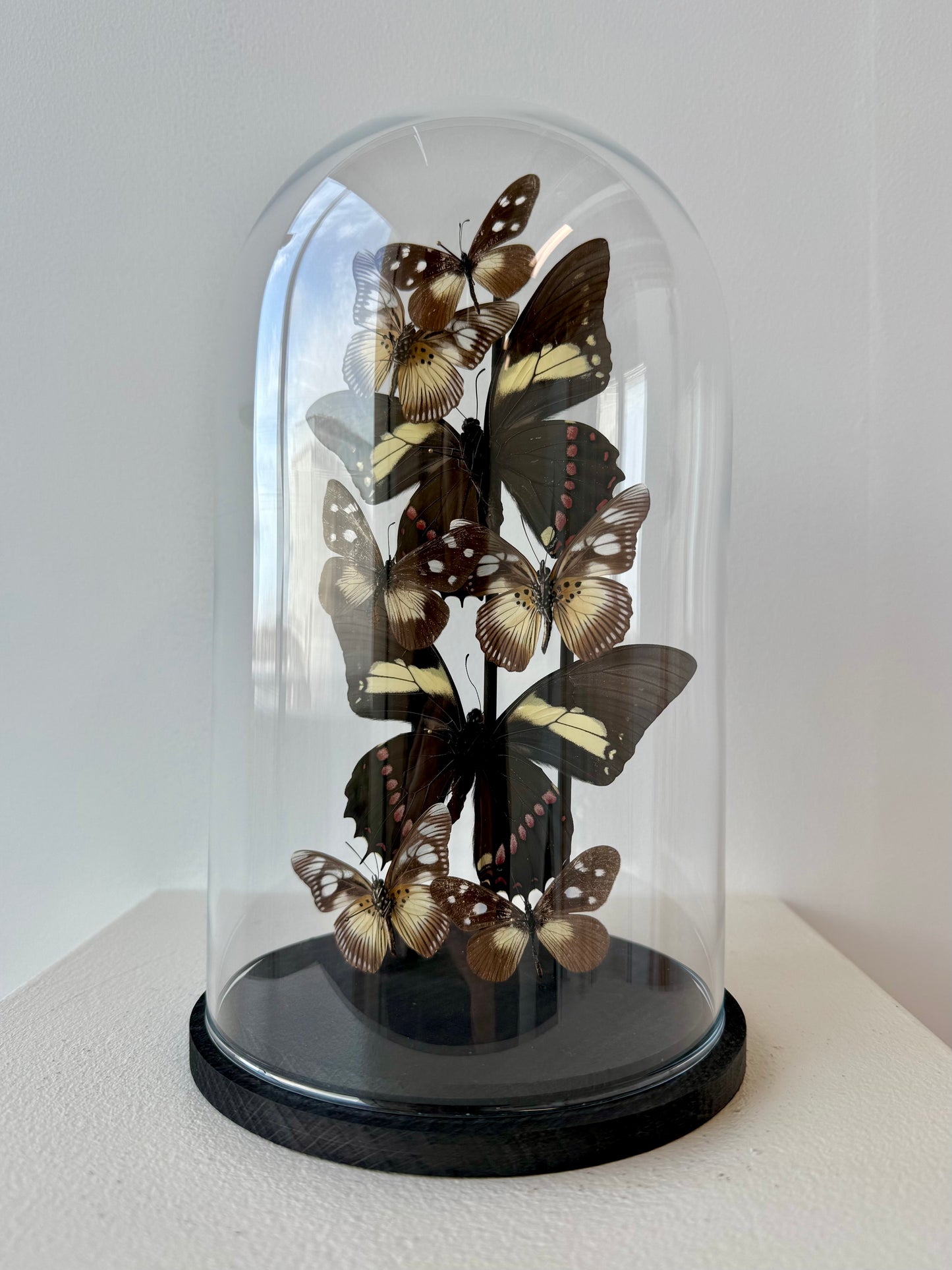 Form & Shadow - UC STUDIO