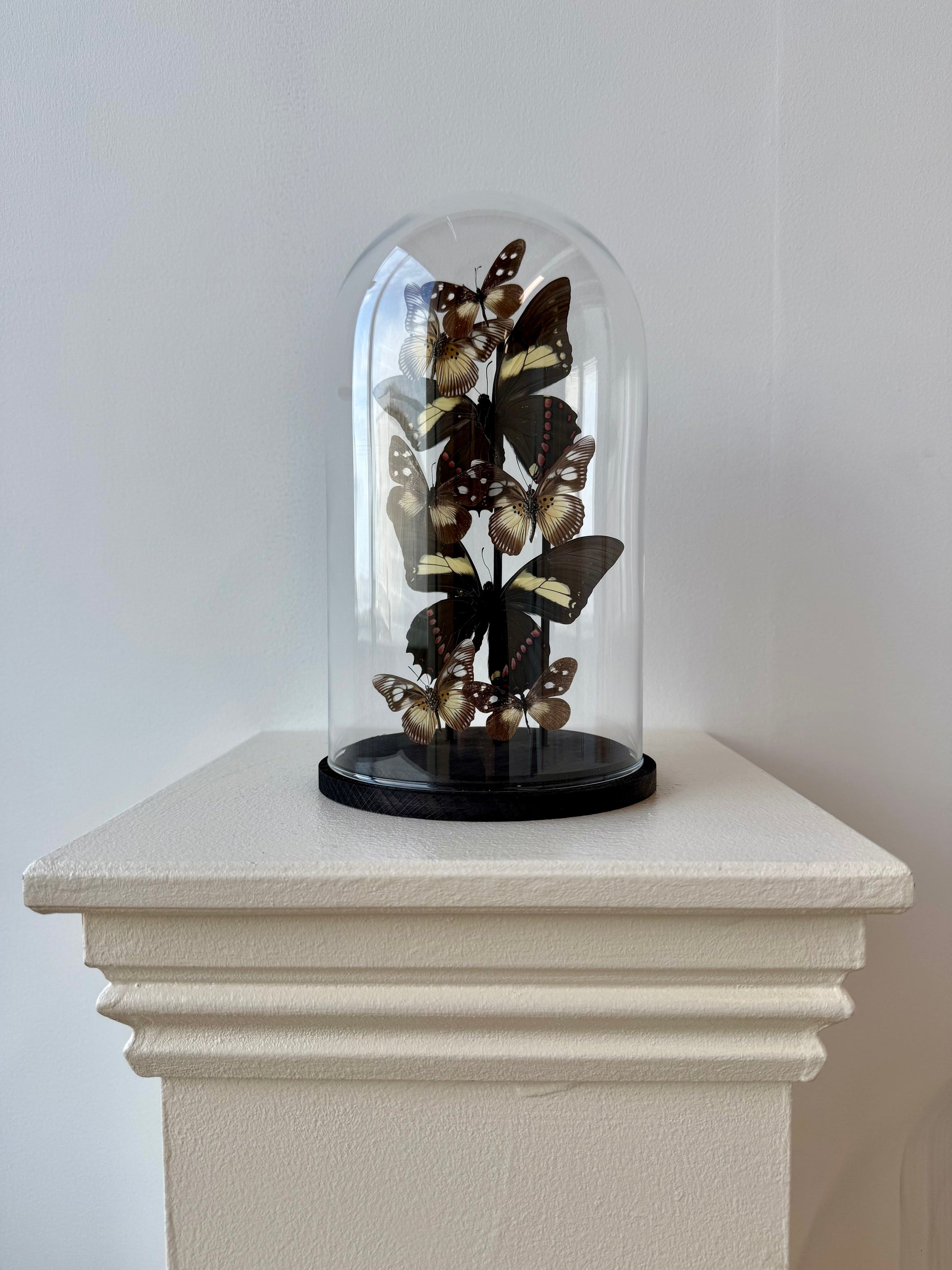 Form & Shadow - UC STUDIO