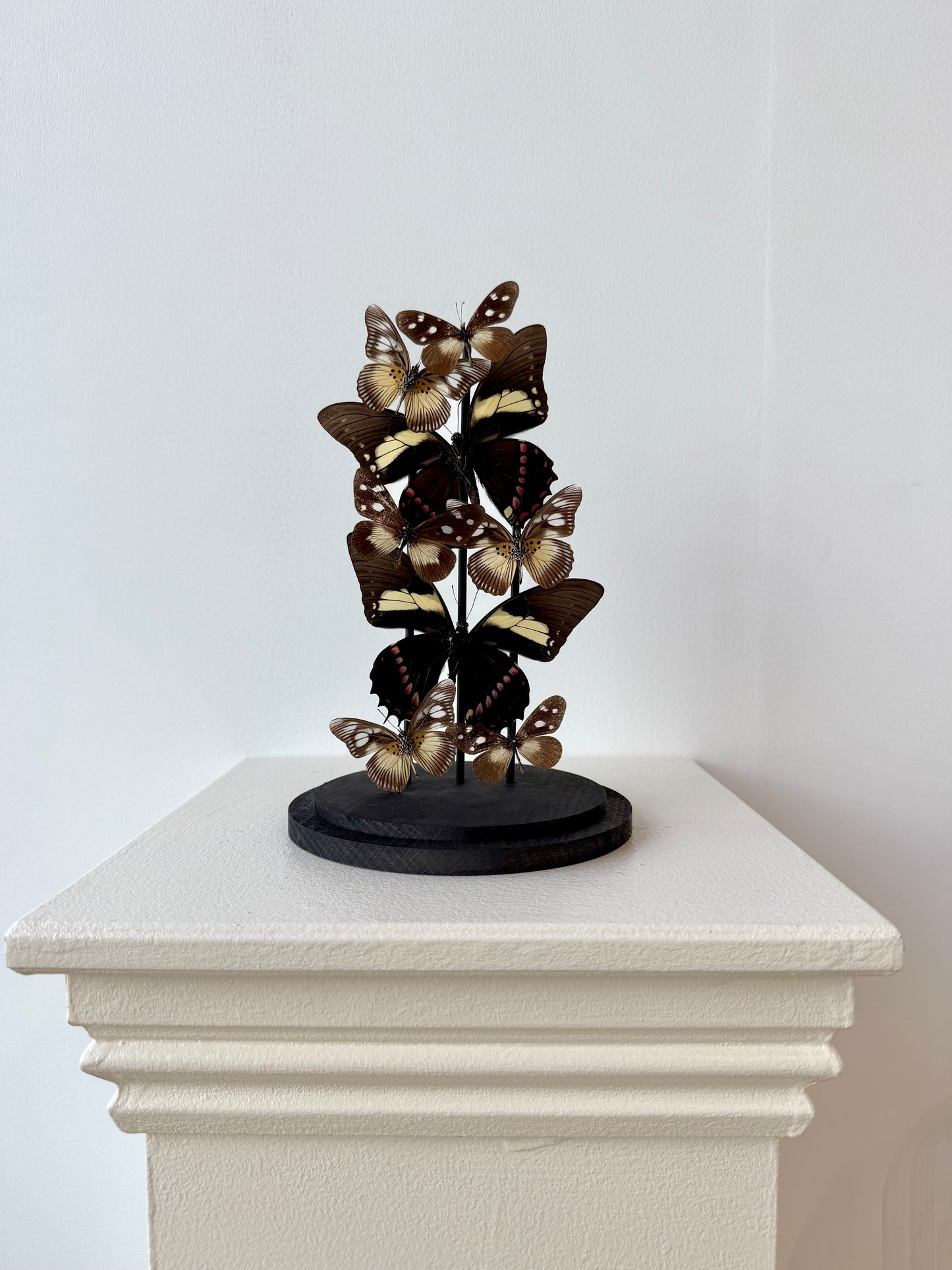 Form & Shadow - UC STUDIO