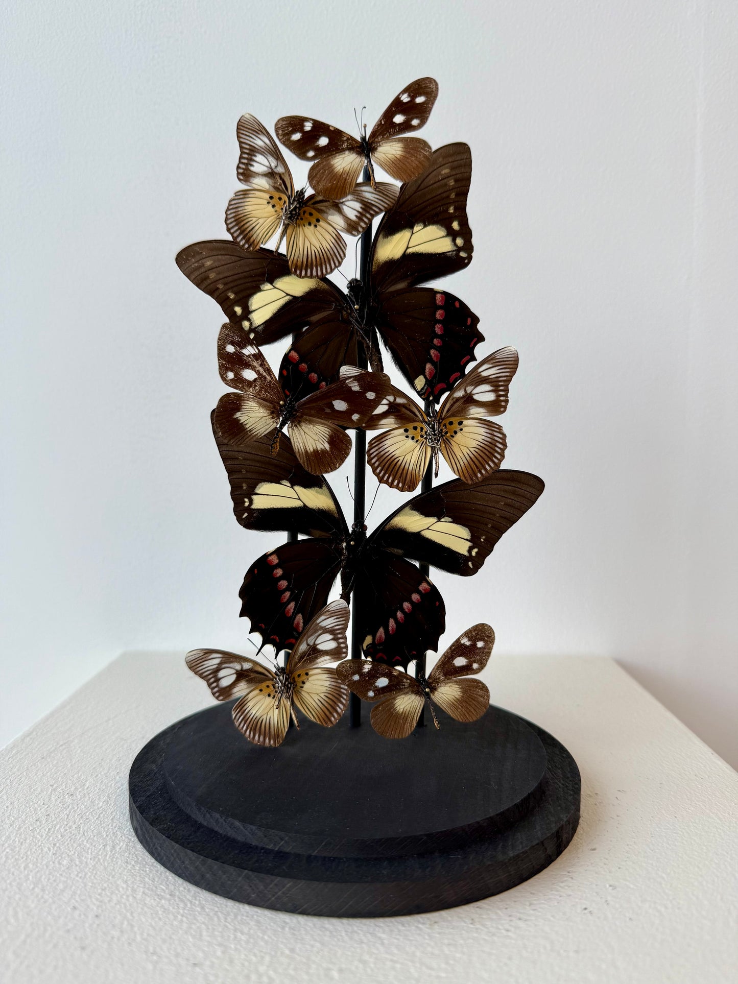 Form & Shadow - UC STUDIO