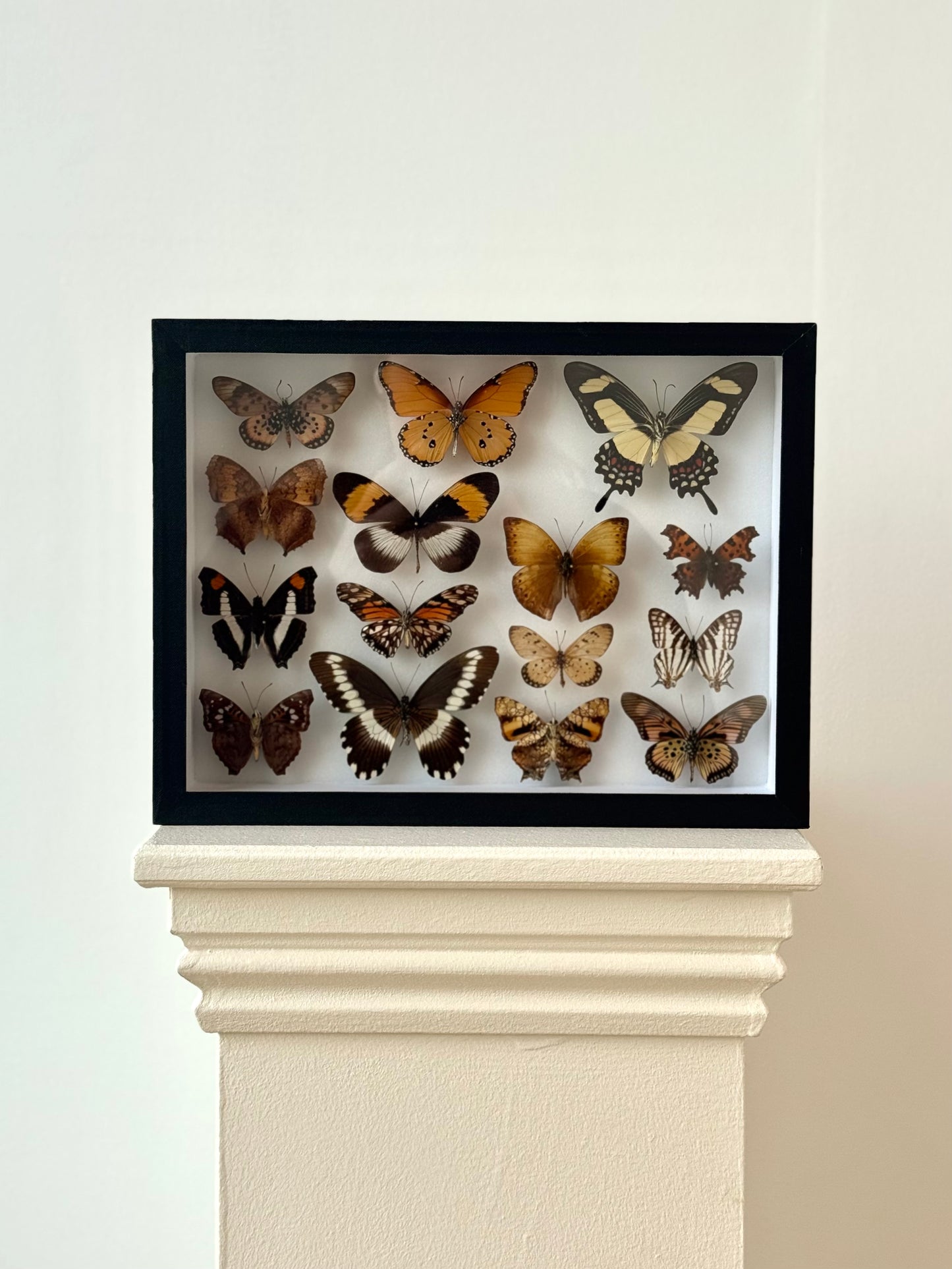 Autumnal Hues Collection Frame - UC STUDIO