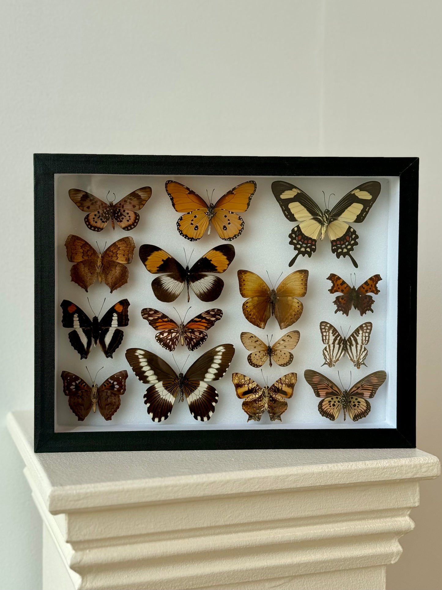 Autumnal Hues Collection Frame - UC STUDIO