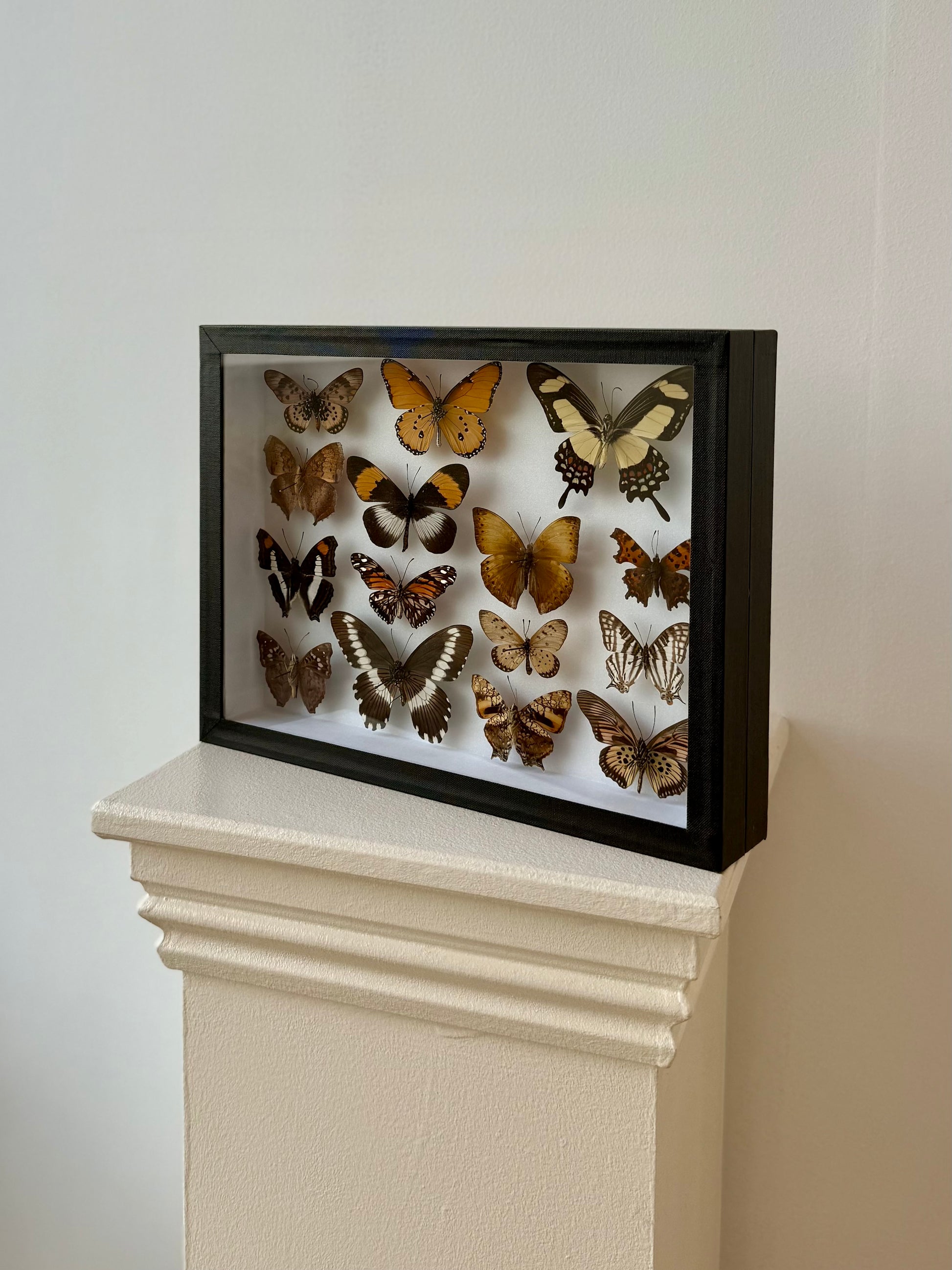 Autumnal Hues Collection Frame - UC STUDIO